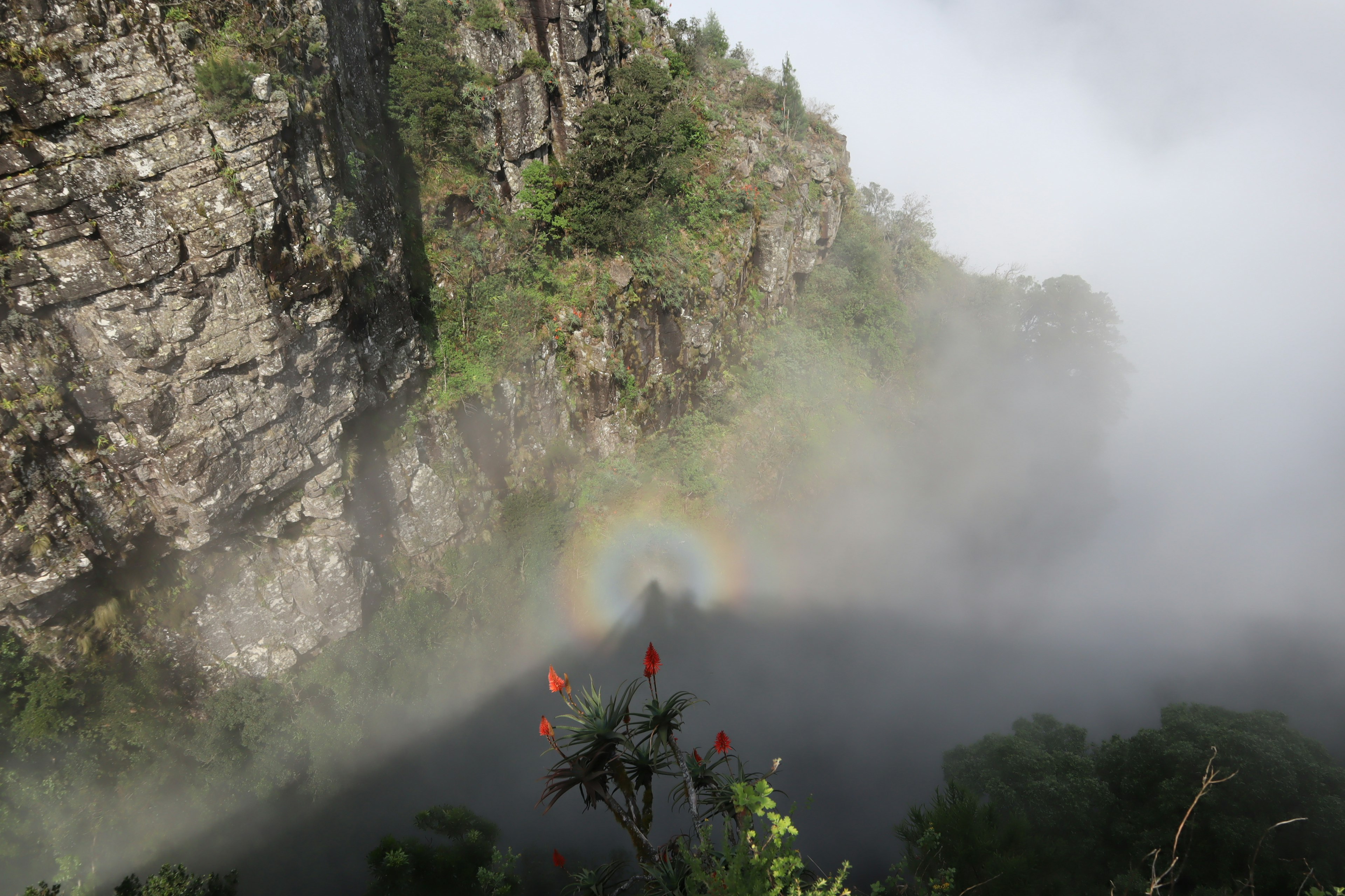 Paesaggio montano con un arcobaleno che appare attraverso la nebbia e piante verdi