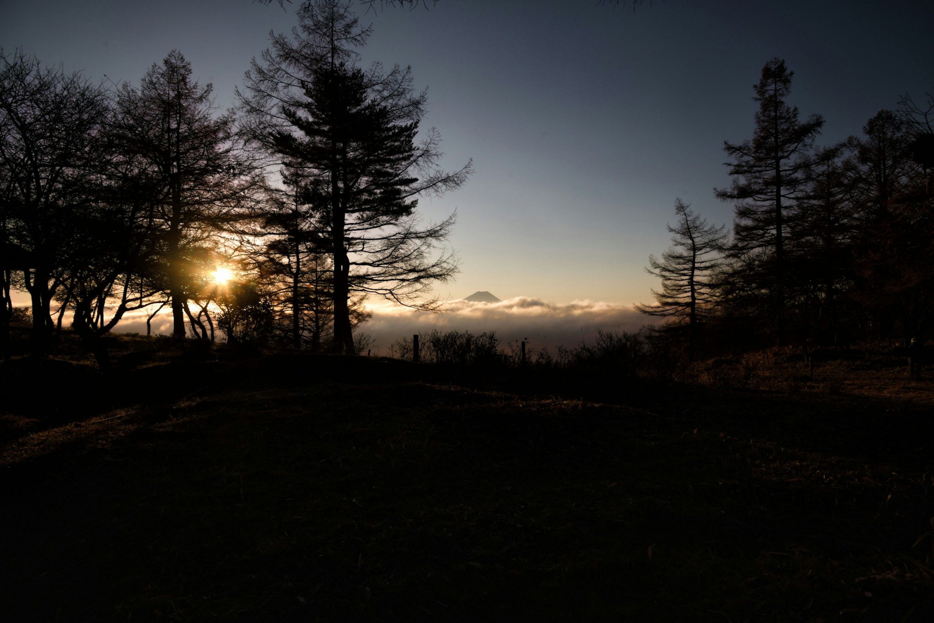 Silhouette von Bäumen gegen einen Sonnenuntergang mit Wolken