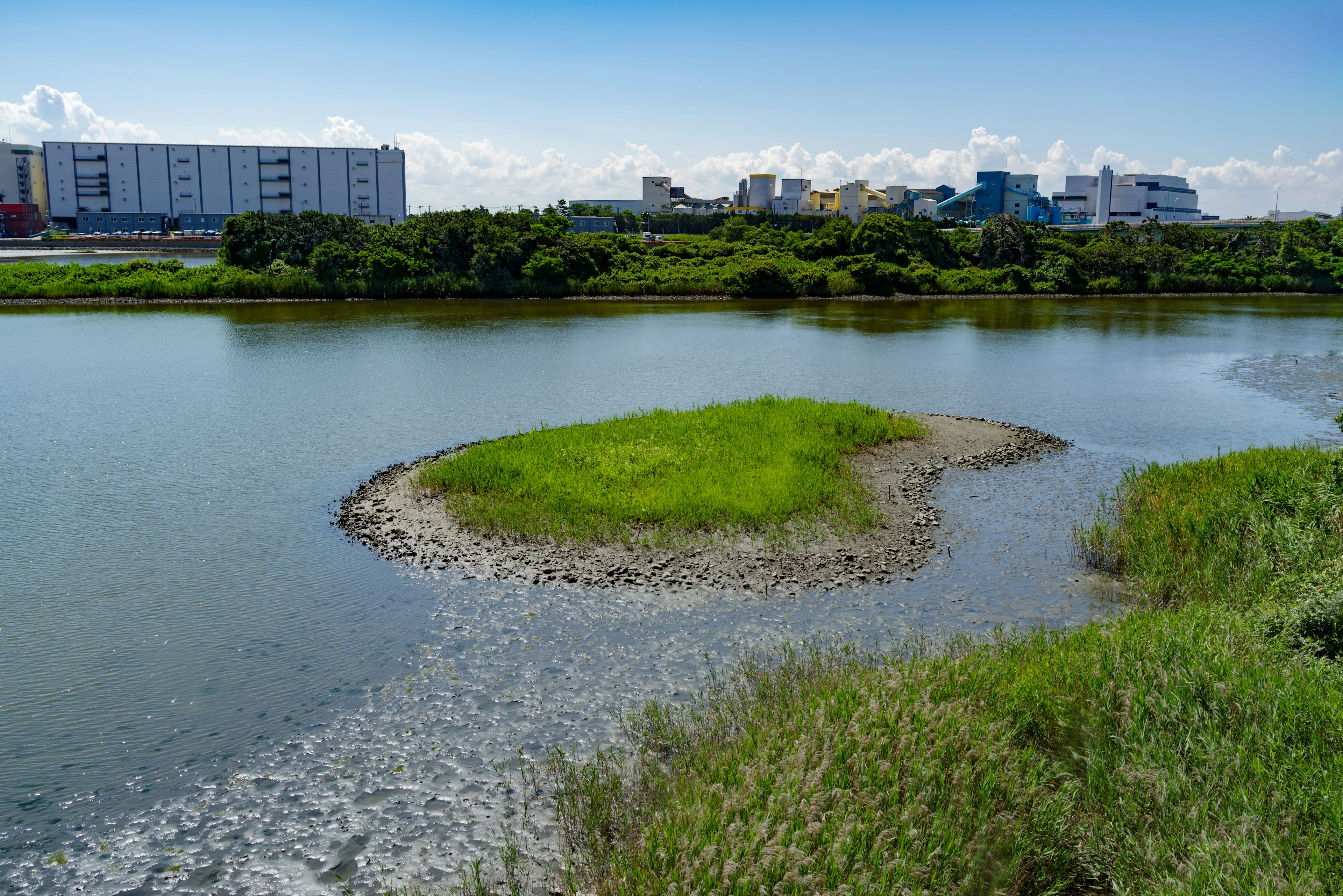 Eine kleine Grasinsel in einem Fluss mit Gebäuden im Hintergrund