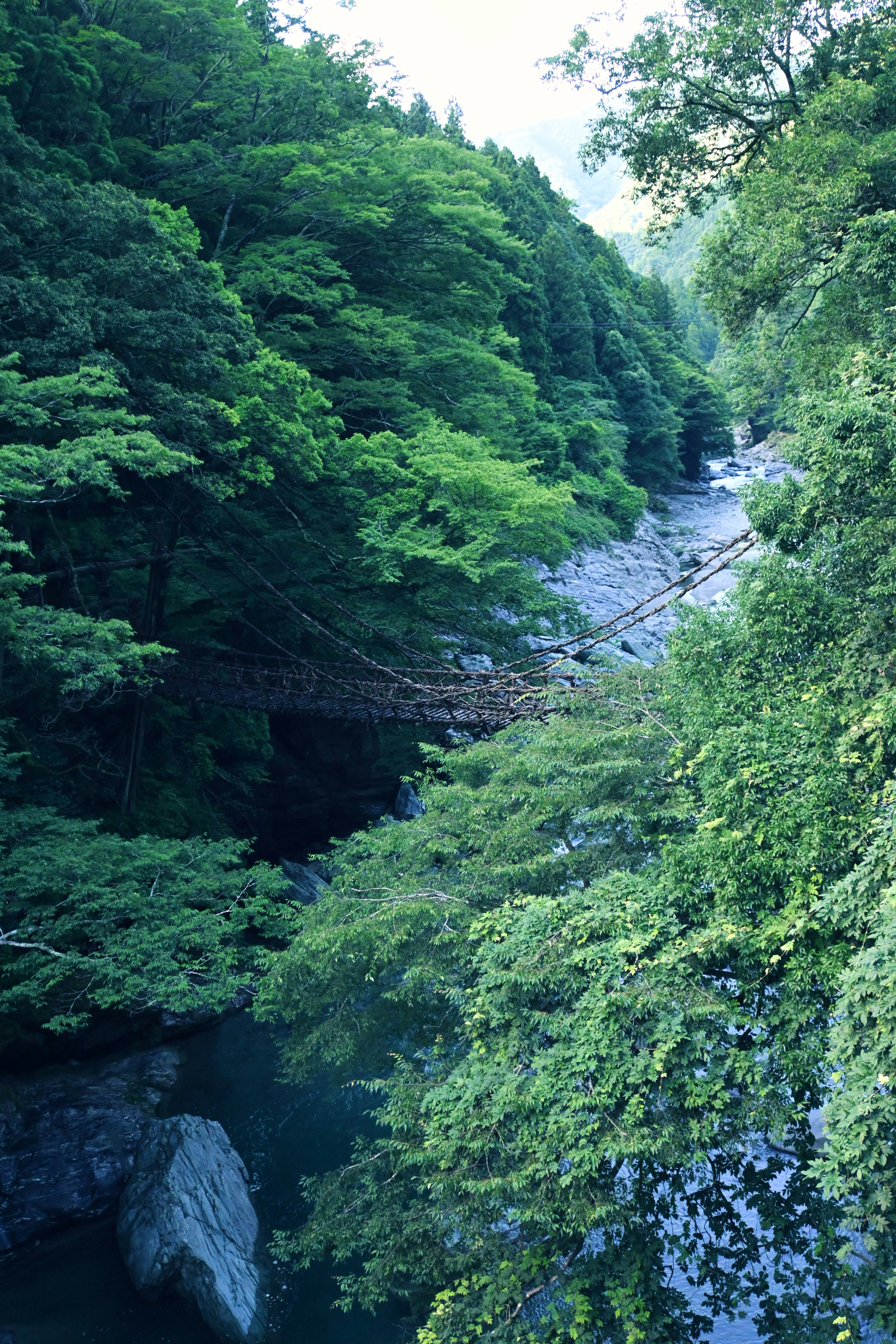 Ruhige Flusslandschaft umgeben von üppigen grünen Bäumen