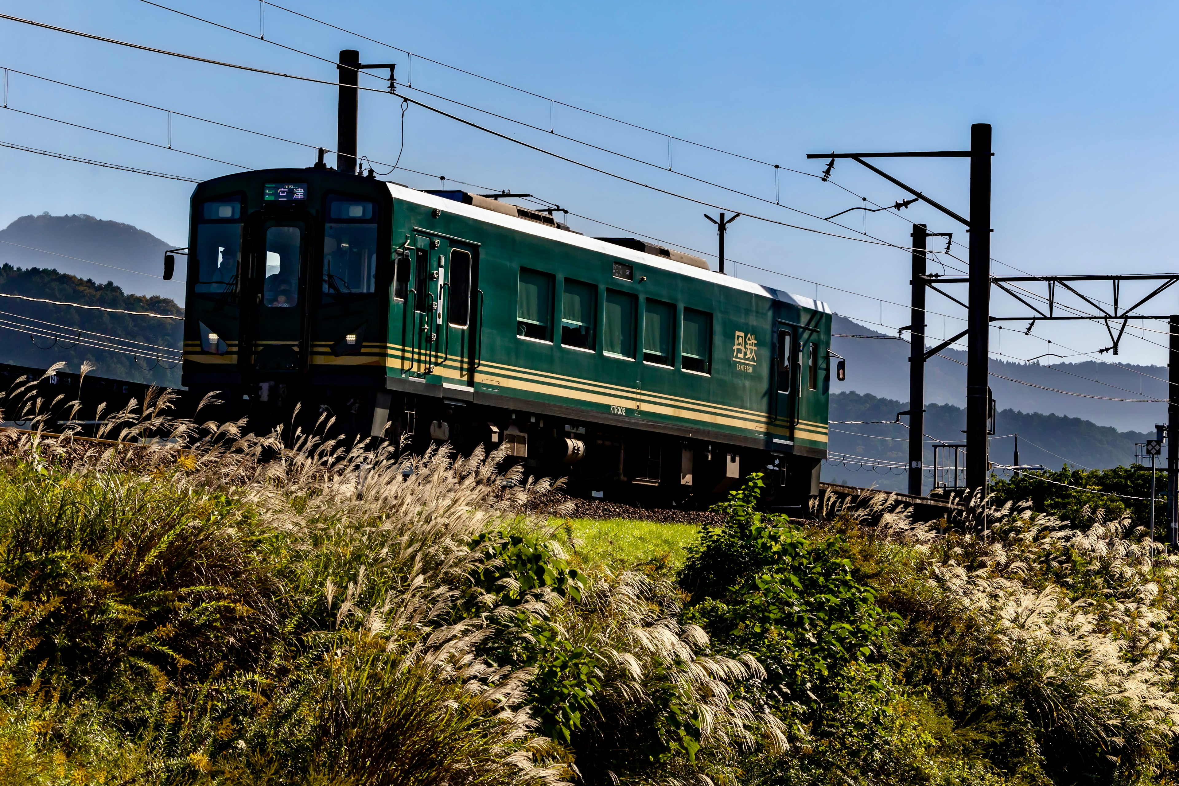 Green train moving through grassland