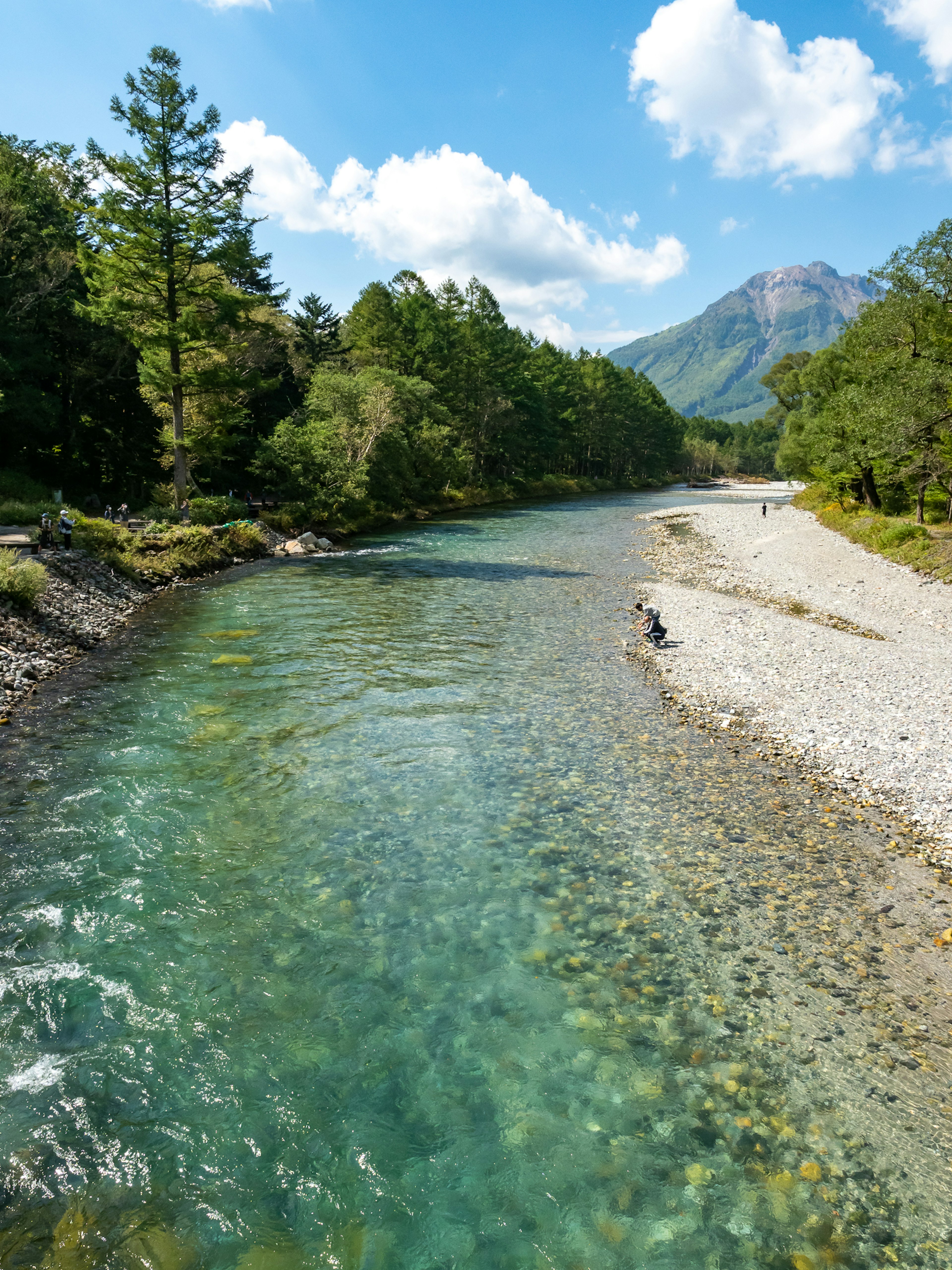 Fiume limpido circondato da alberi lussureggianti e montagne