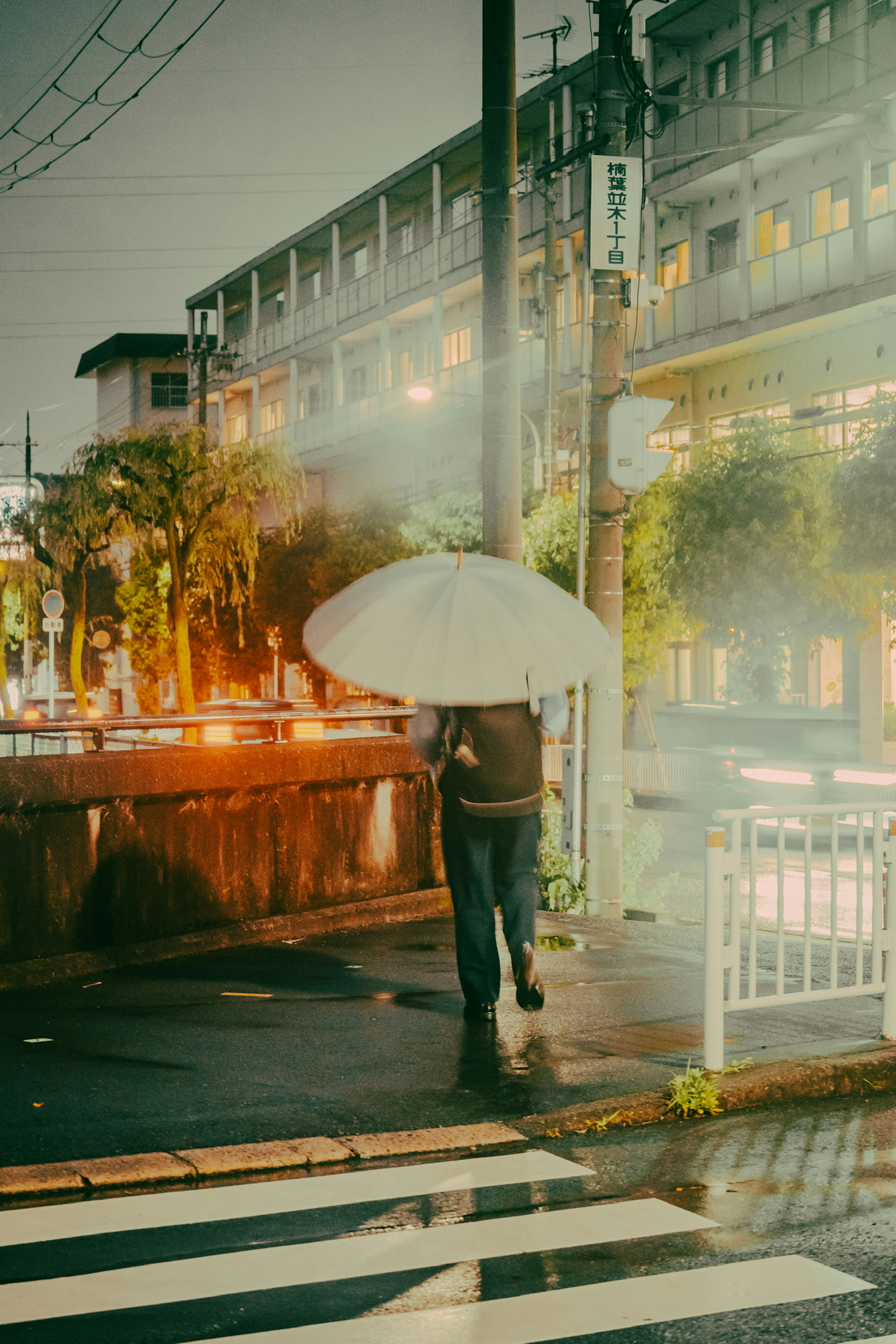 A person walking with an umbrella in the rain at night in a city