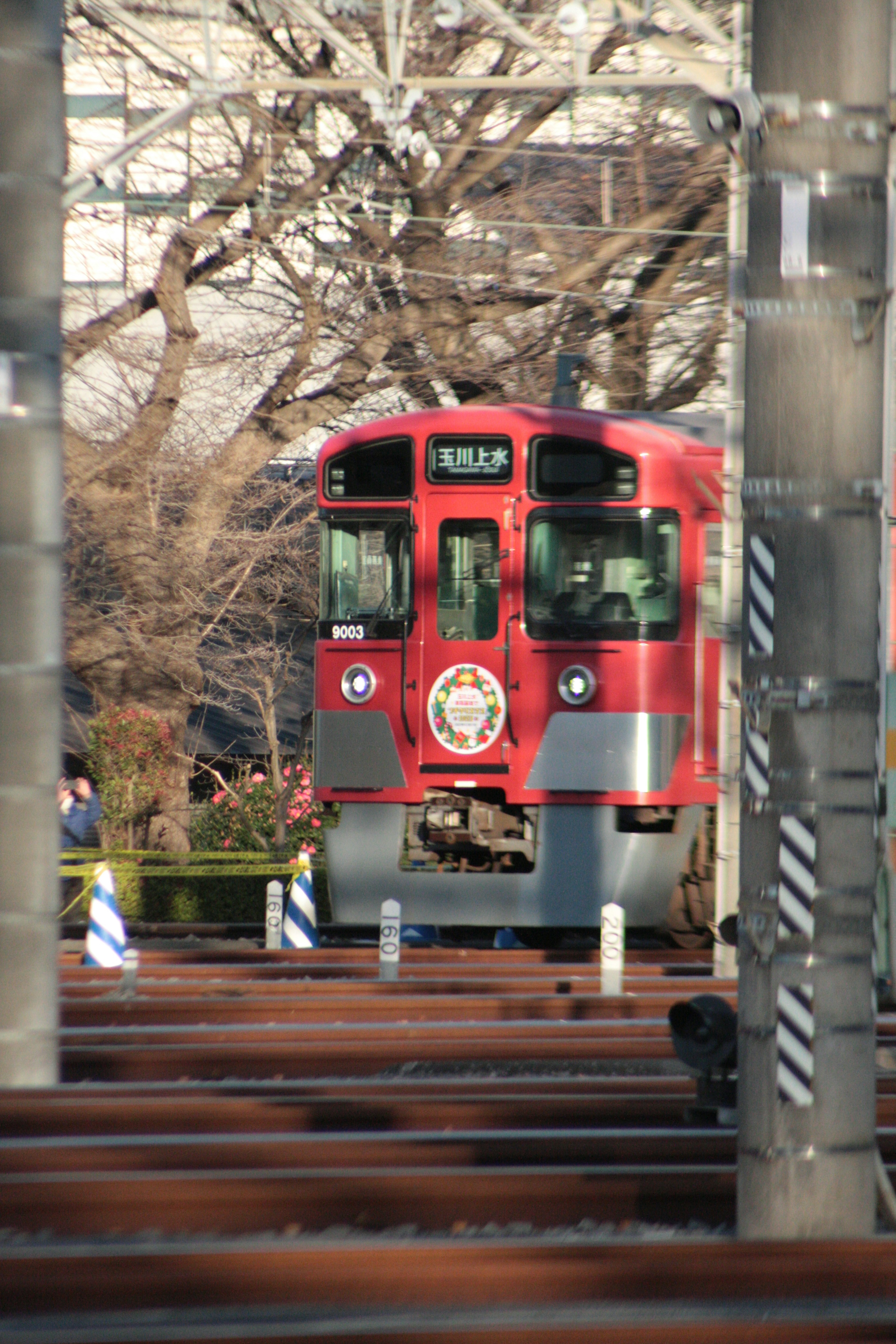 紅色火車在鐵軌之間可見，背景有樹木