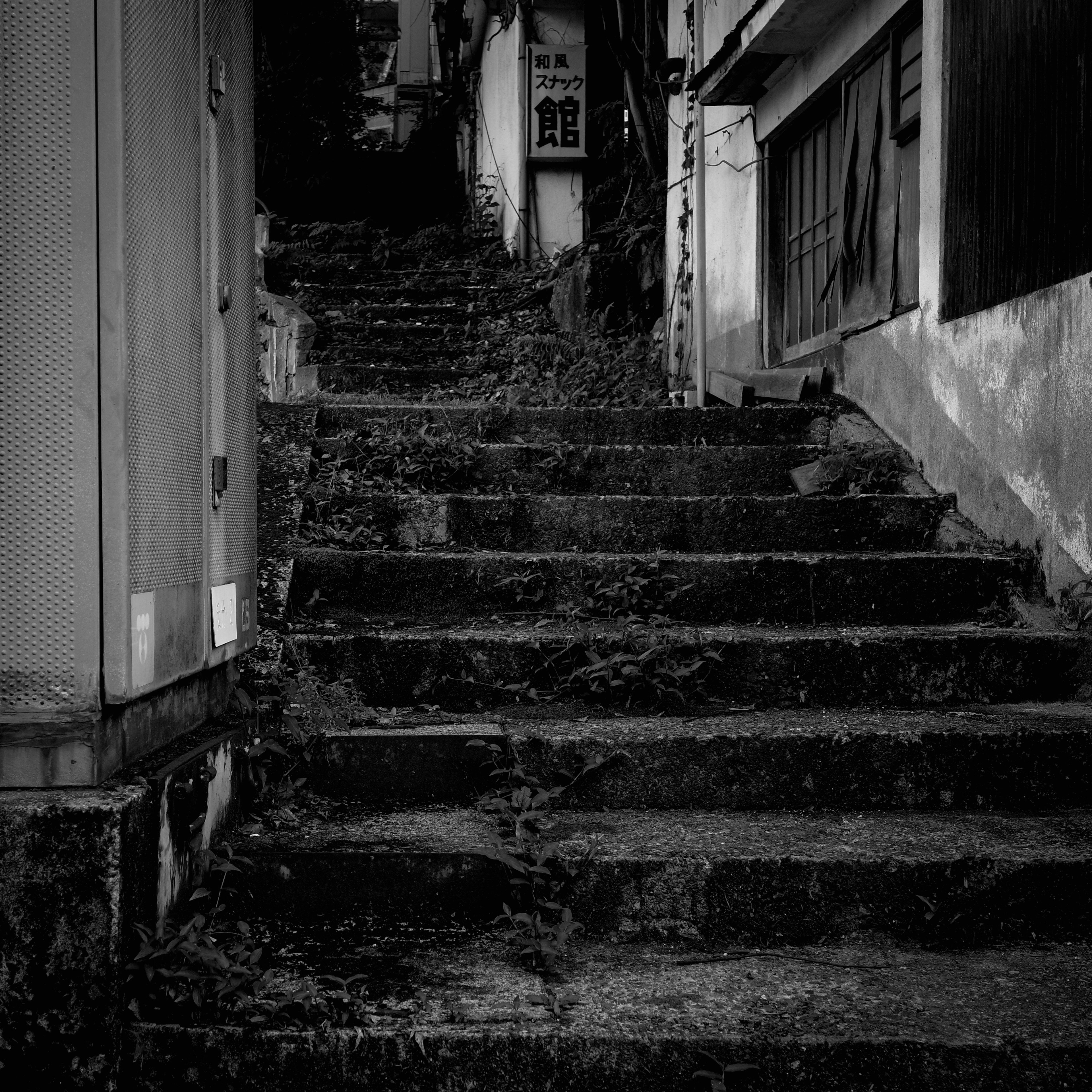 Old moss-covered stairs in a black and white setting