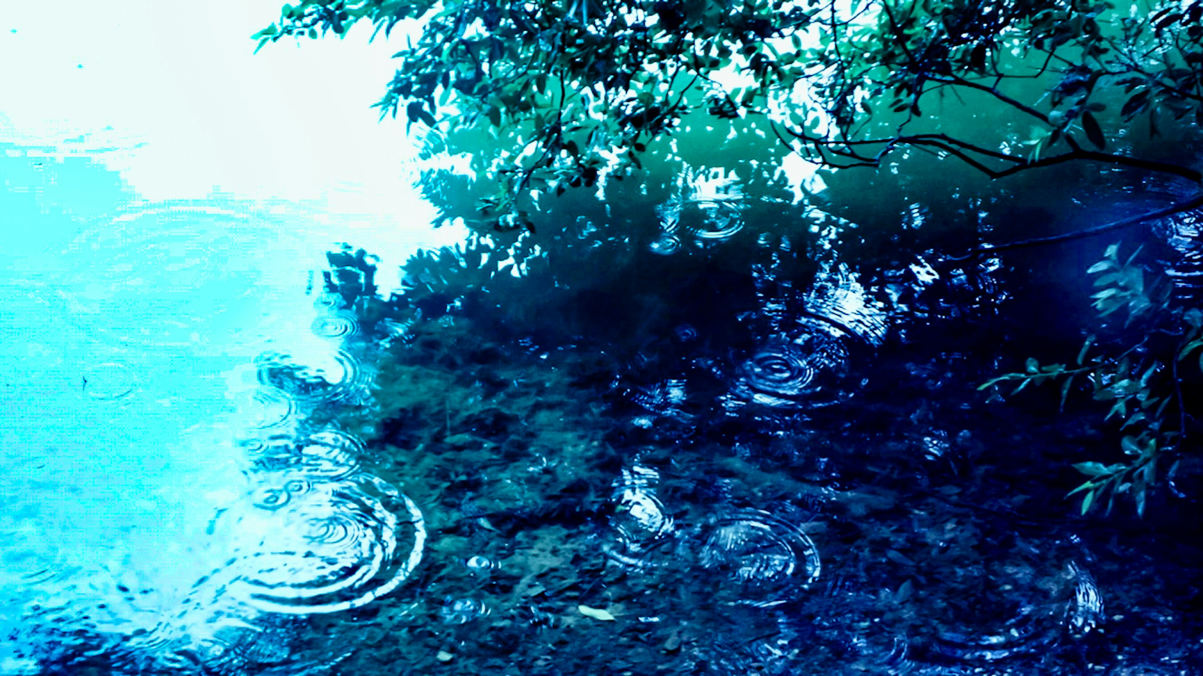 Image of blue water with ripples and reflections of green trees