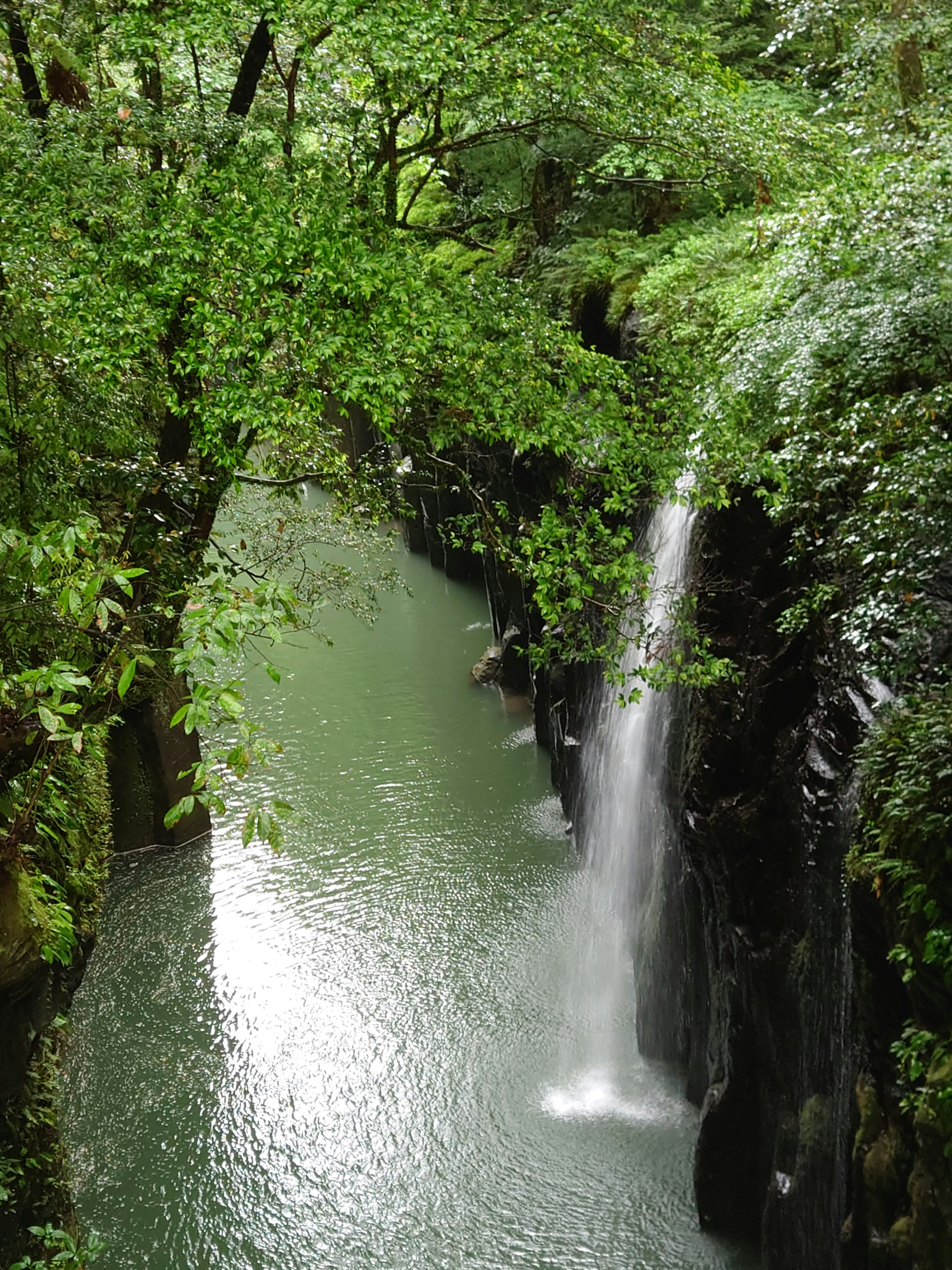 A beautiful waterfall surrounded by lush green trees