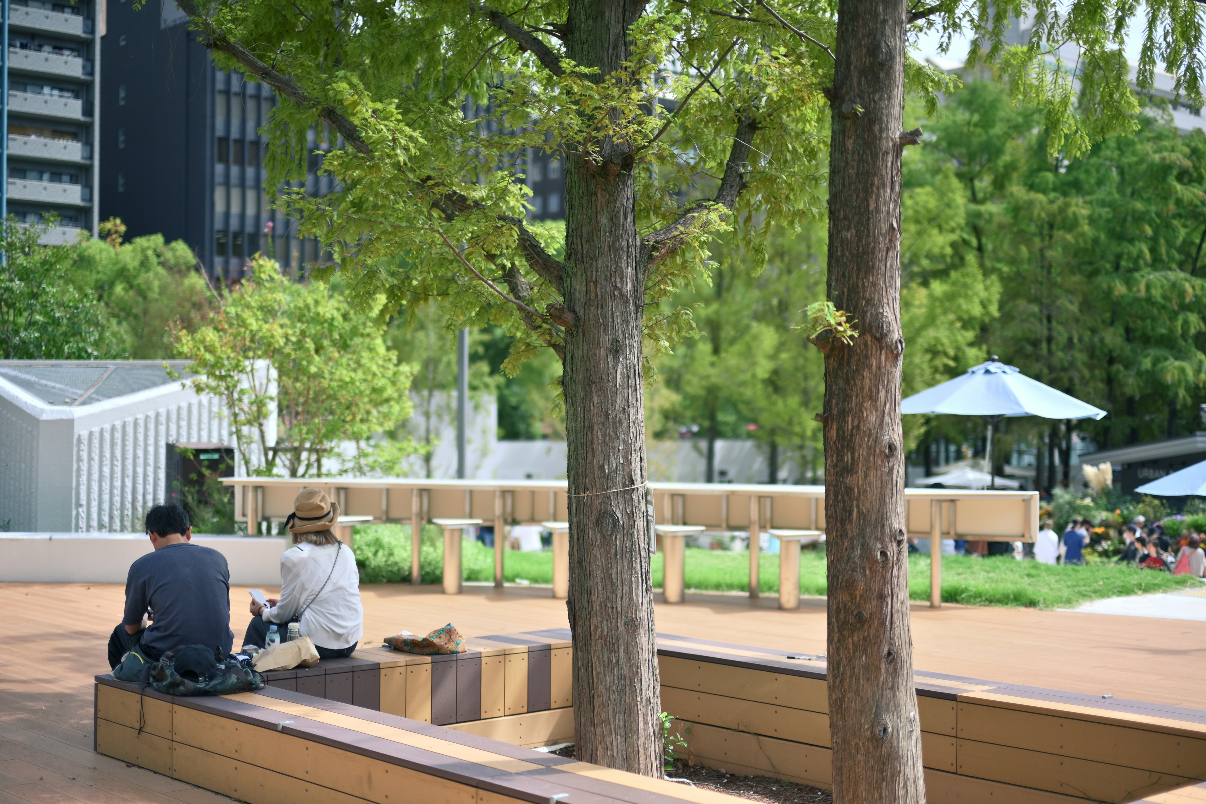 Zwei Personen sitzen auf einer Bank, umgeben von Bäumen in einem grünen Park