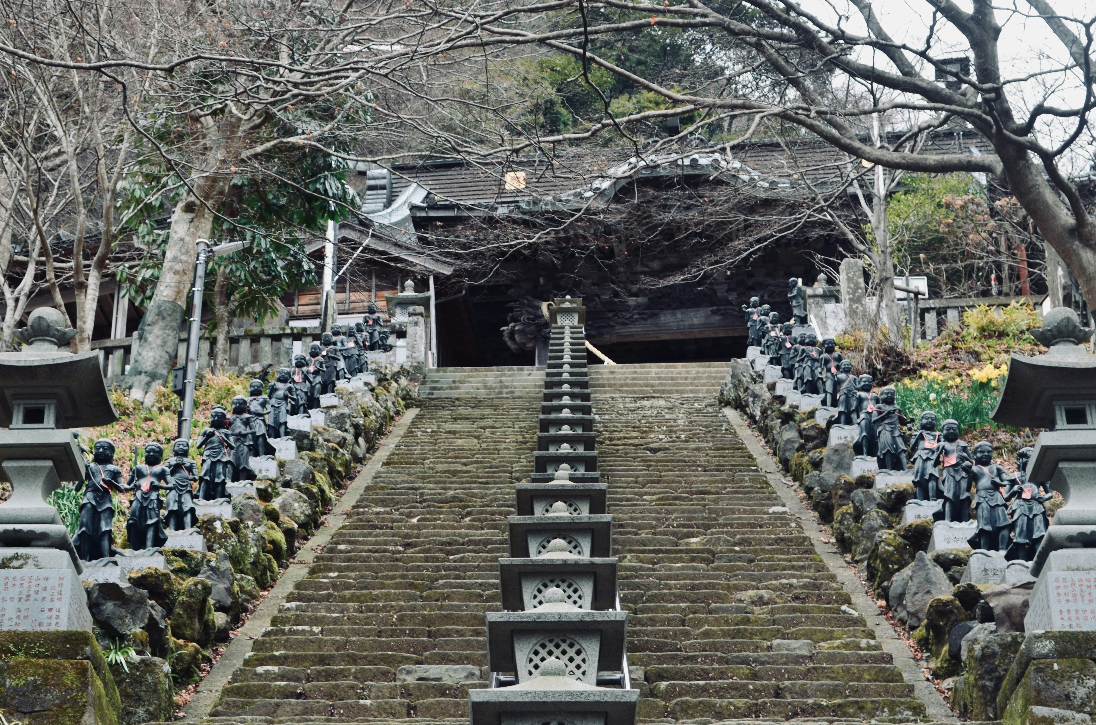 Stone lanterns lining the steps leading to a temple surrounded by trees