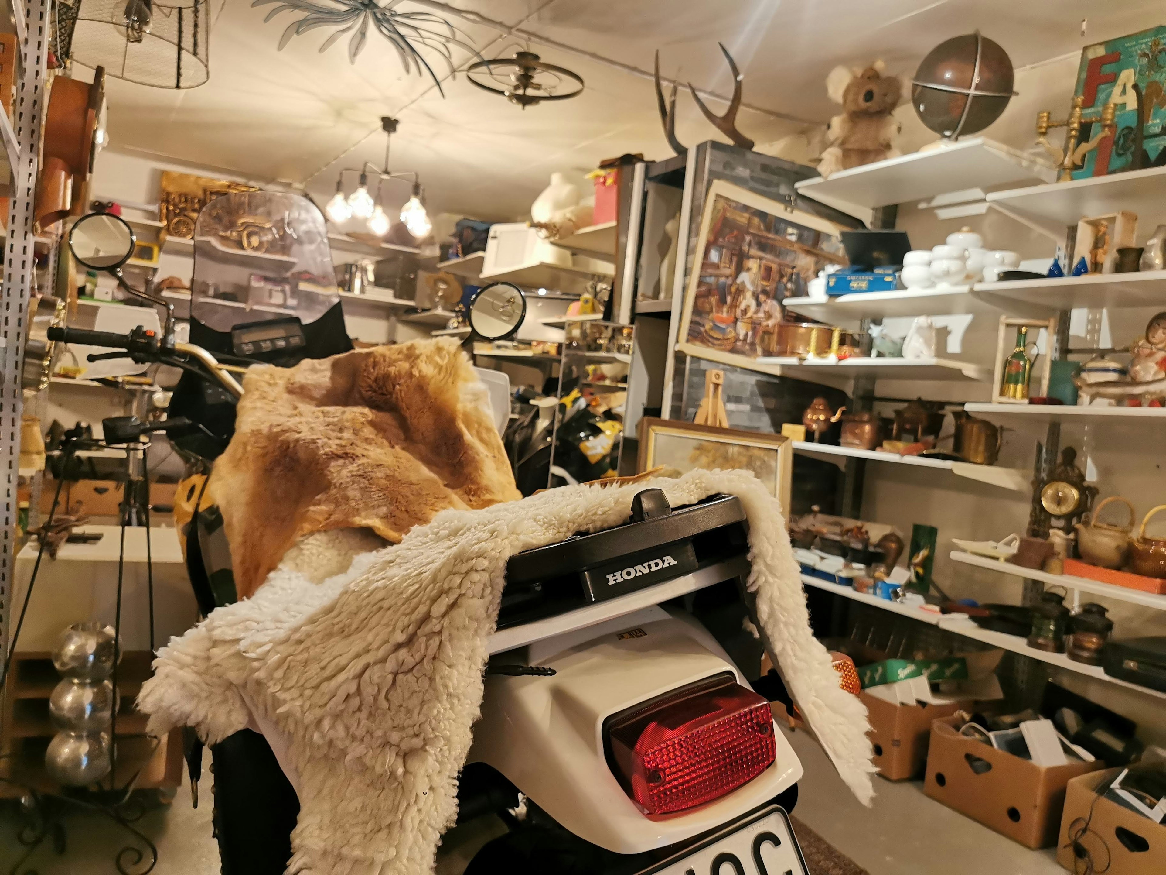 A motorcycle with a fur cover in a cluttered room filled with various decorations and knick-knacks on shelves