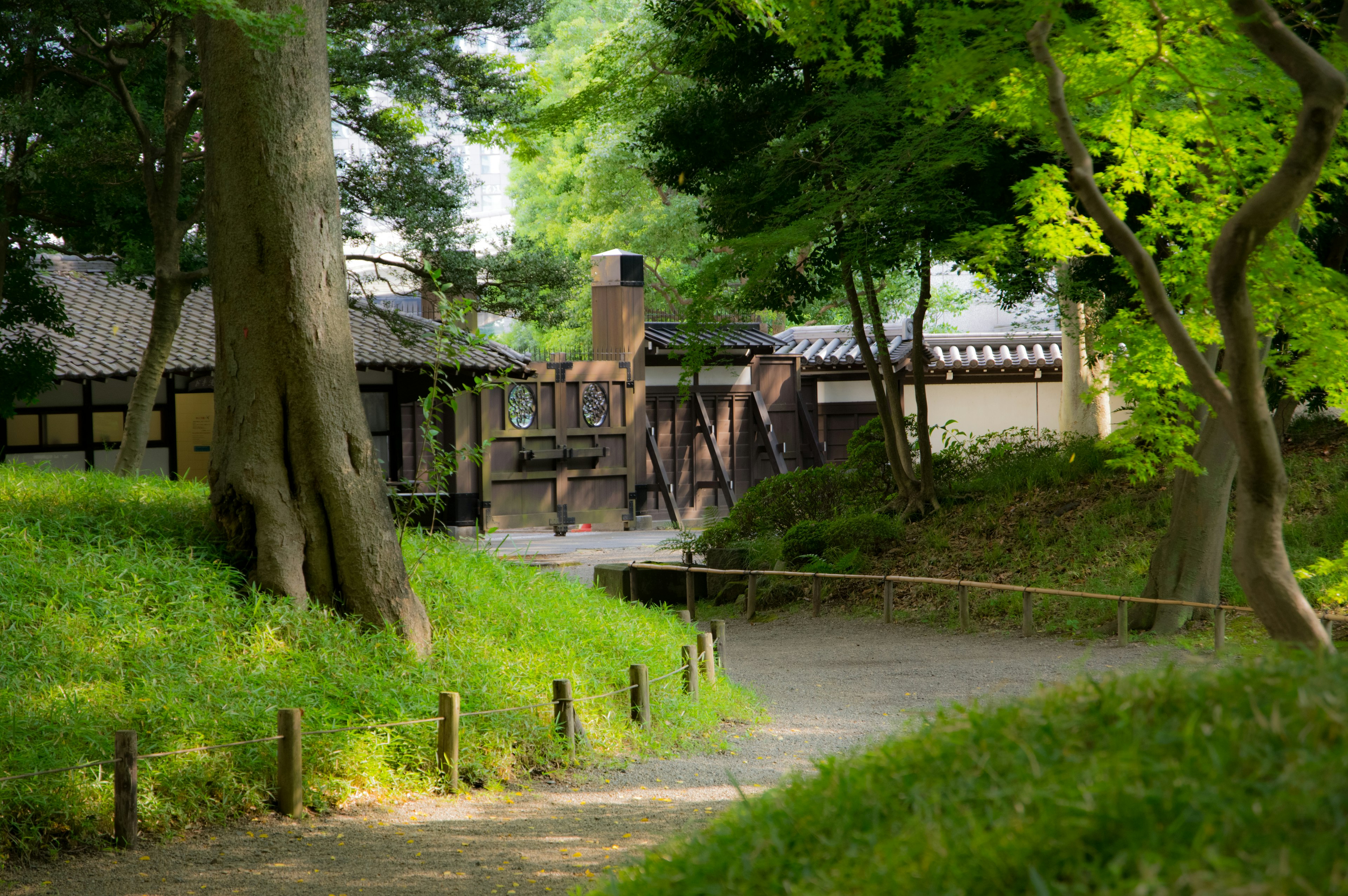 Sentier menant à un bâtiment traditionnel entouré de verdure luxuriante