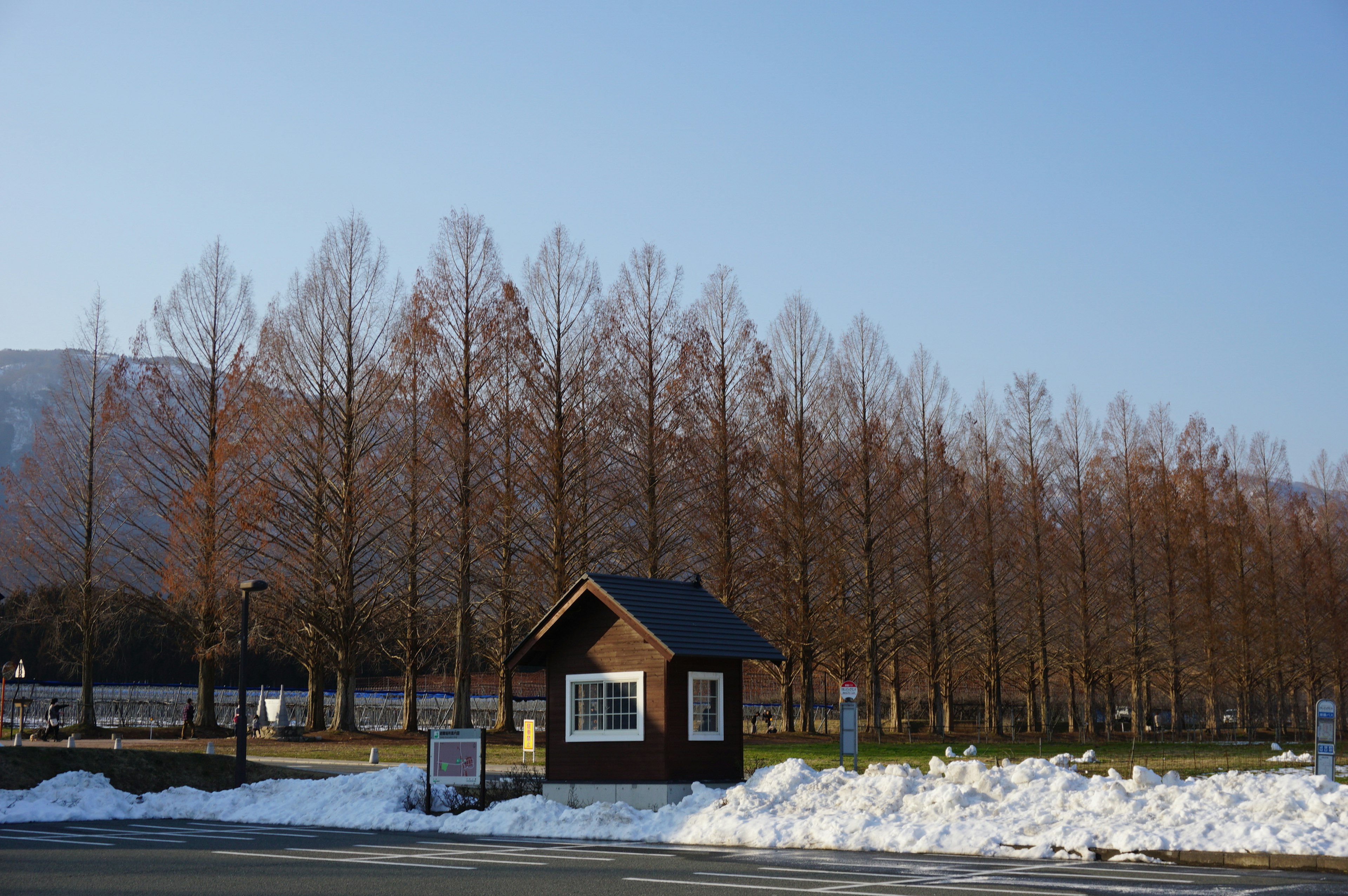 雪のある風景に立つ小さな木造の建物と背後の並ぶ木々