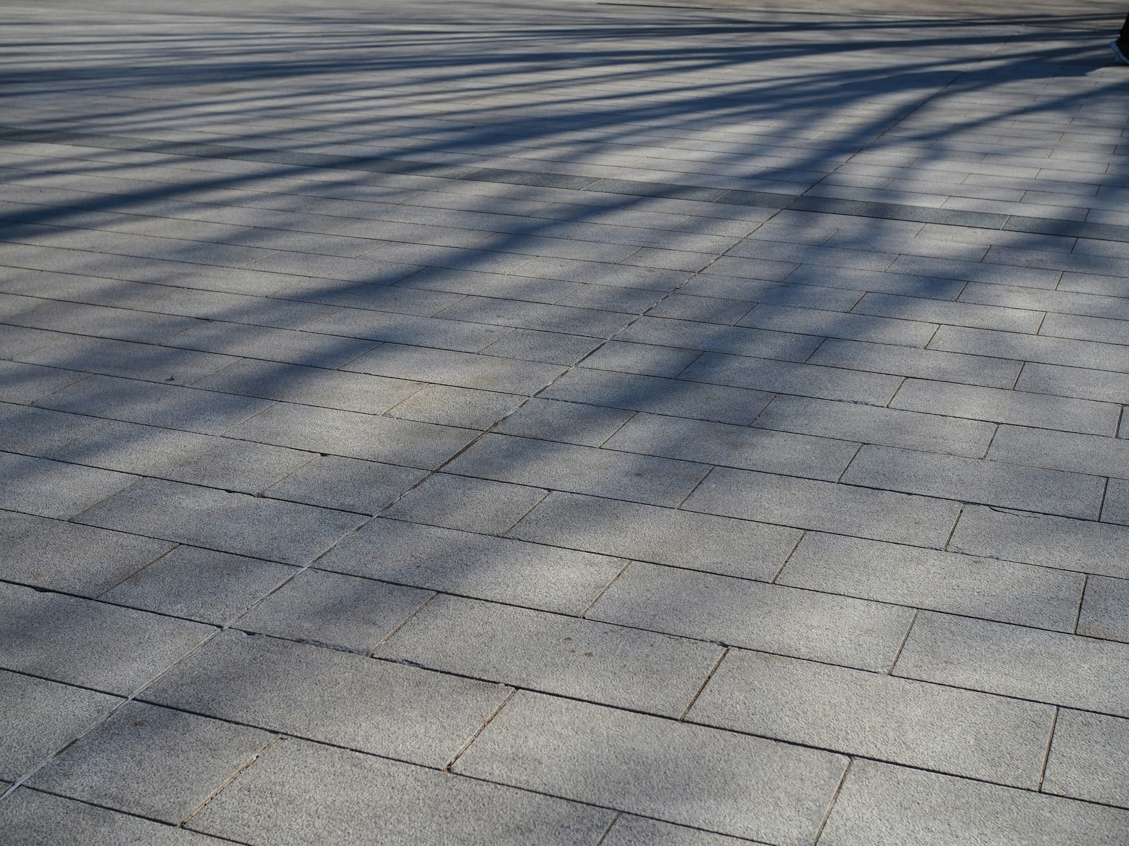 Chemin carrelé gris avec des ombres allongées