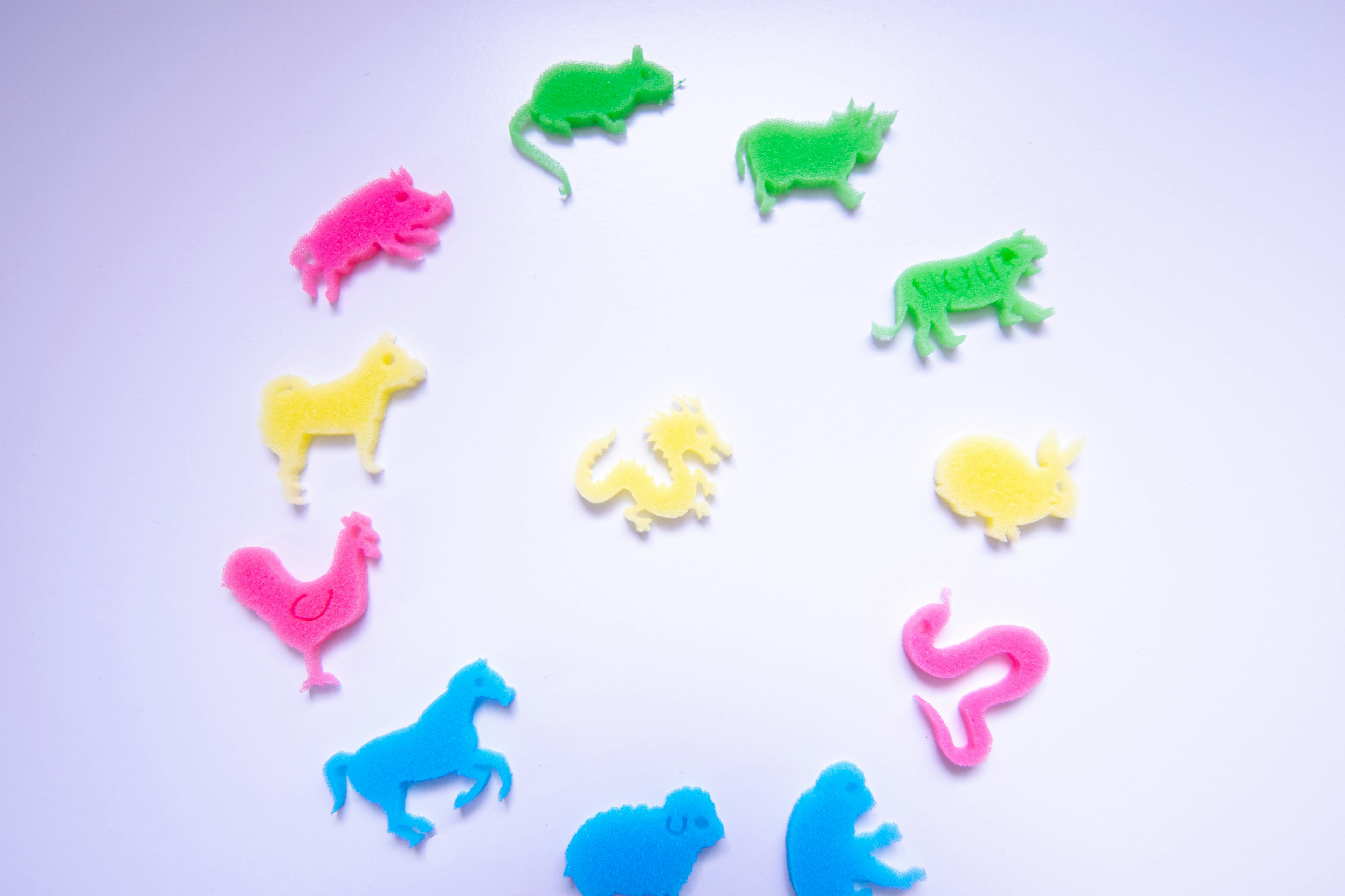 Colorful plastic animal figures arranged in a circular pattern