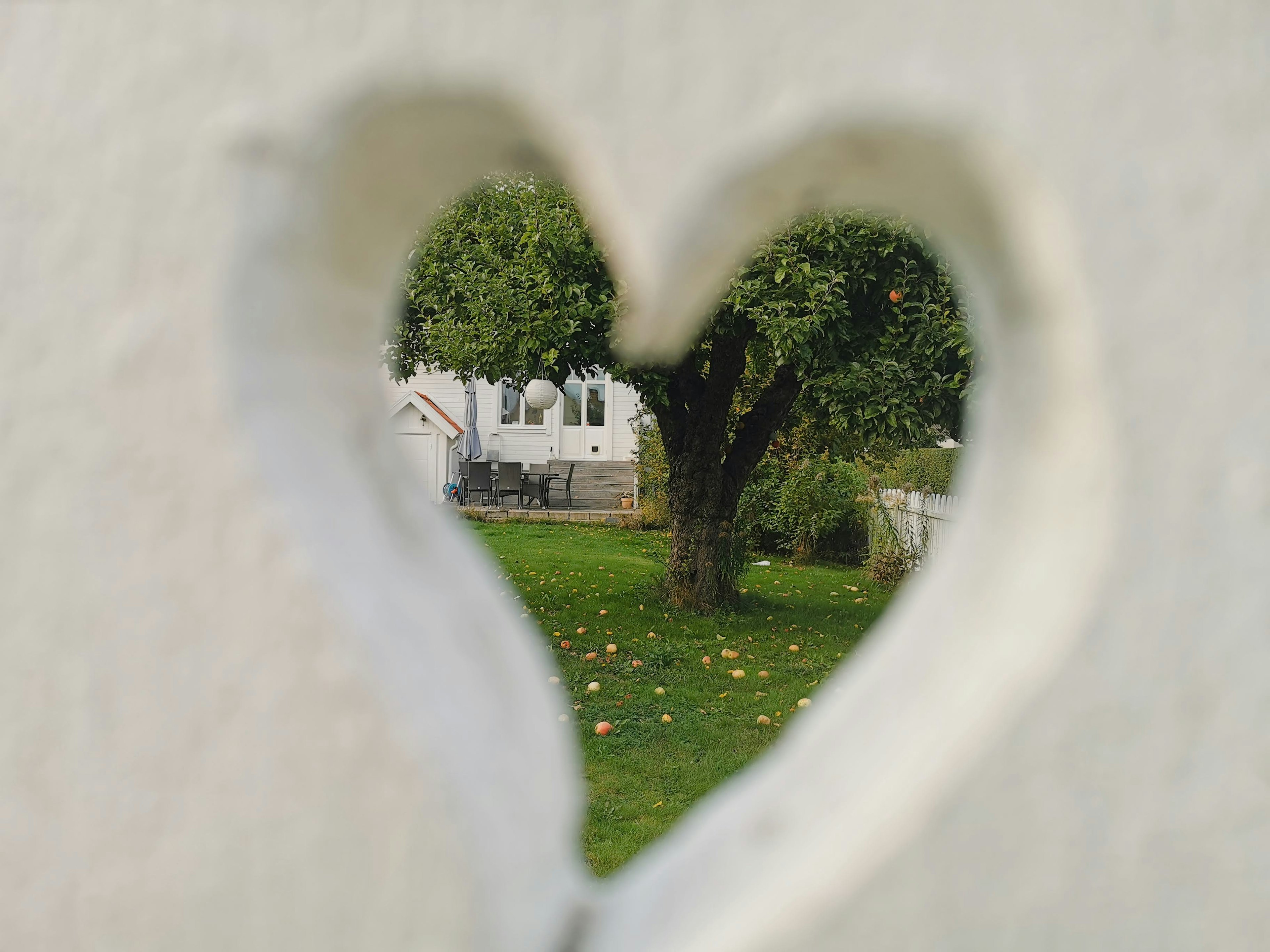 Blick auf einen Garten durch ein herzförmiges Loch in einer Wand mit einem Haus und einem Baum