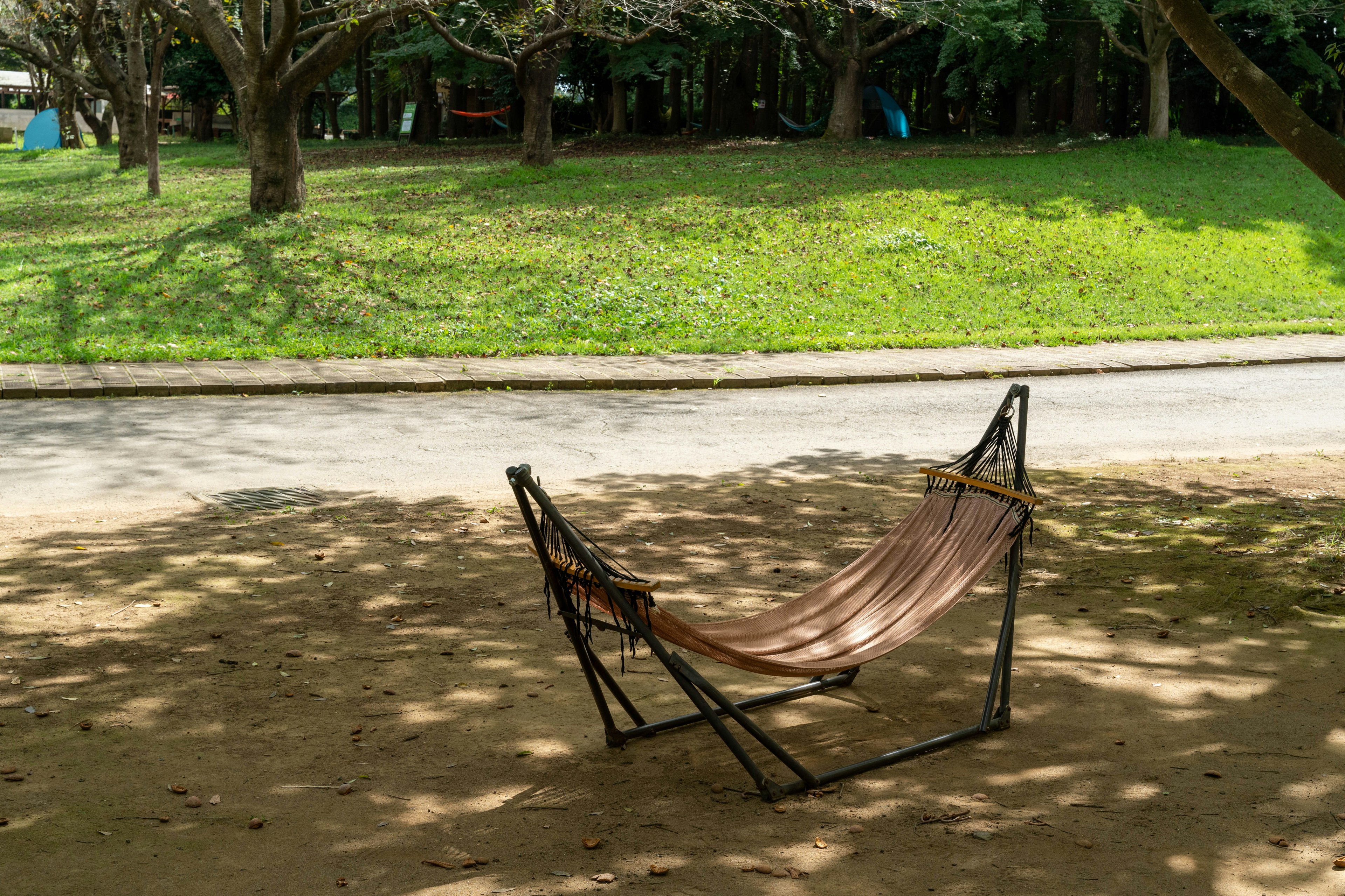 Hammock placed in the shade of a park with green grass