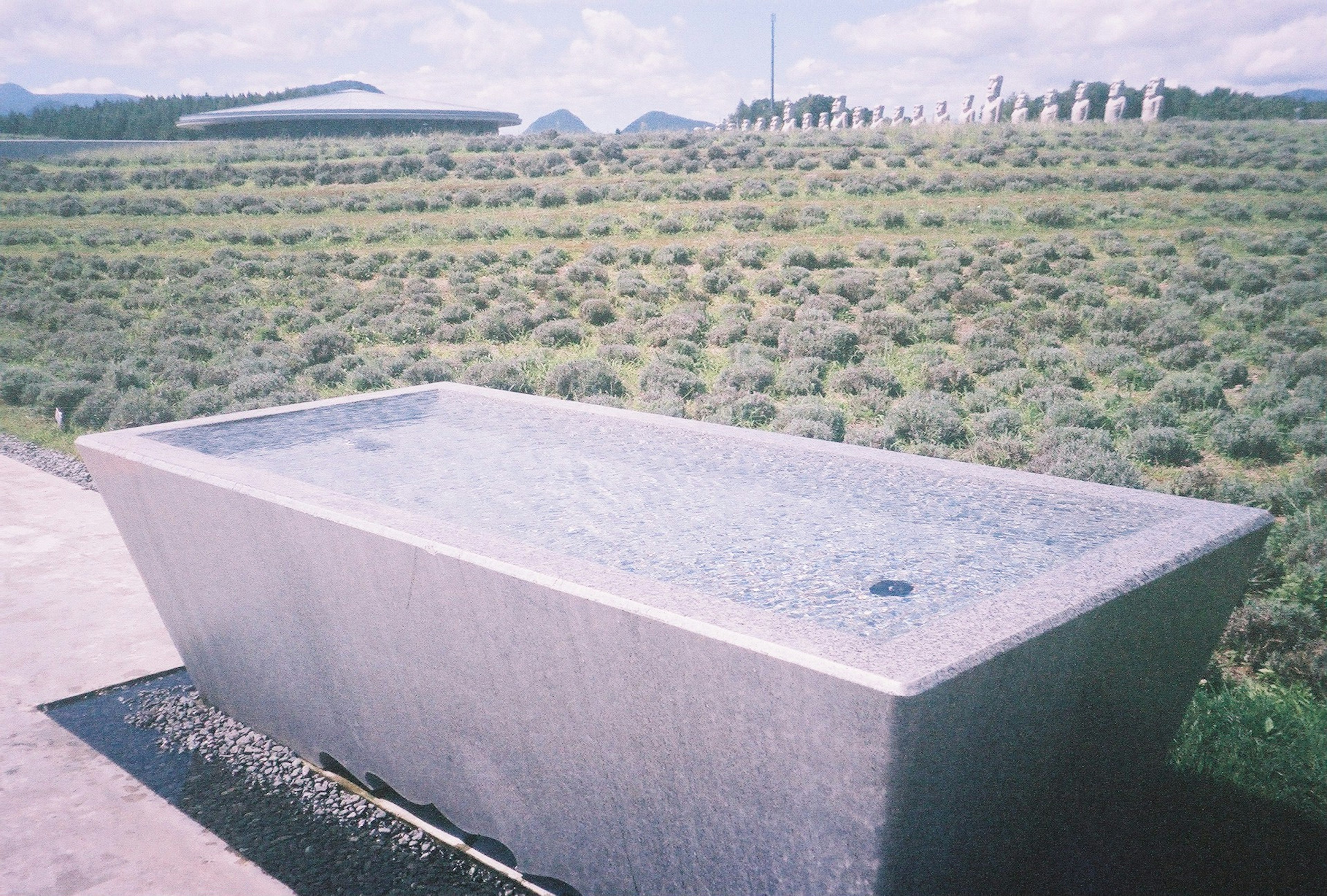 Una bañera de mármol situada en un paisaje pintoresco con un campo de lavanda