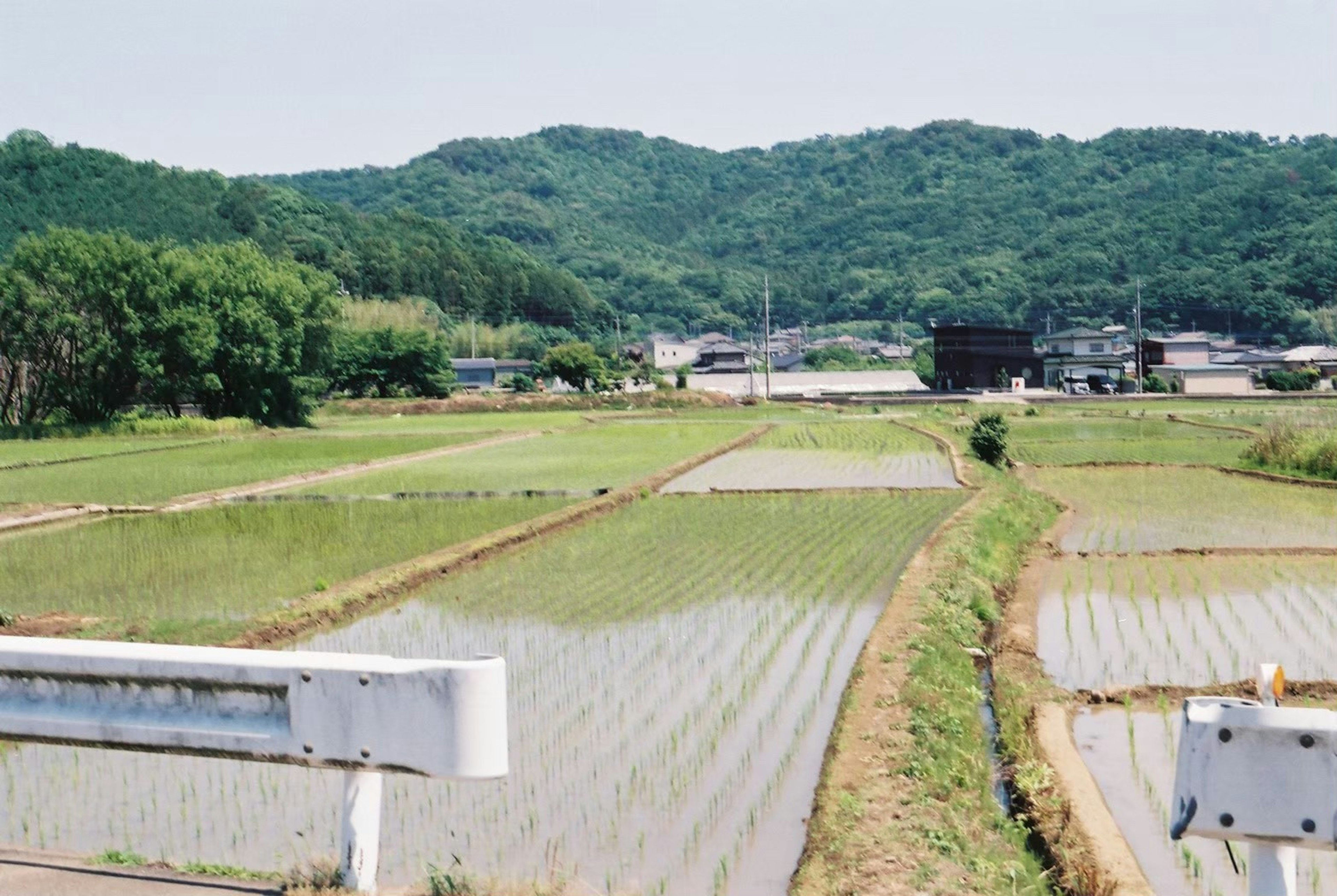 田んぼと山々の風景が広がる田舎の風景