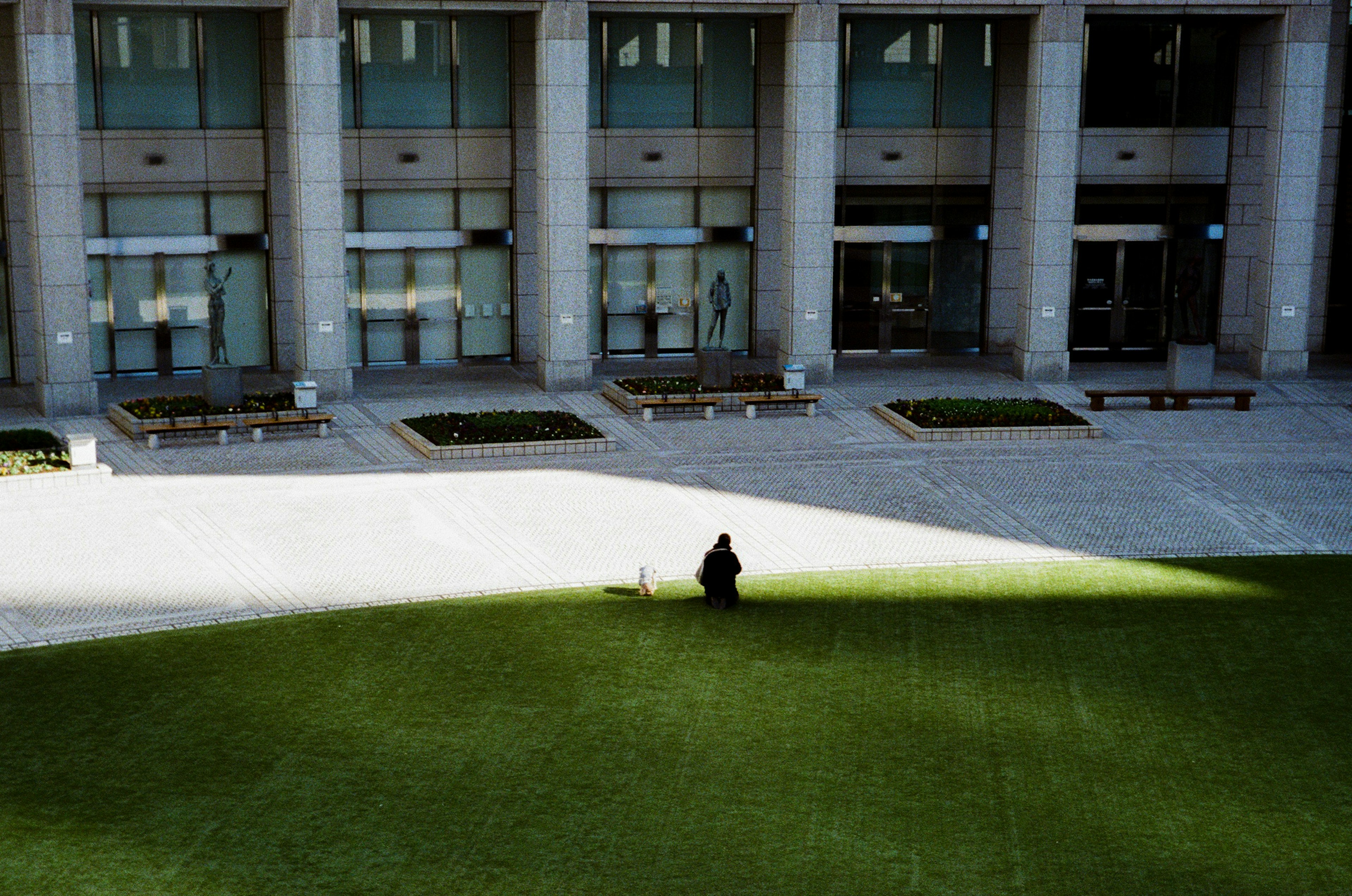 A person sitting on green grass with a modern building in the background