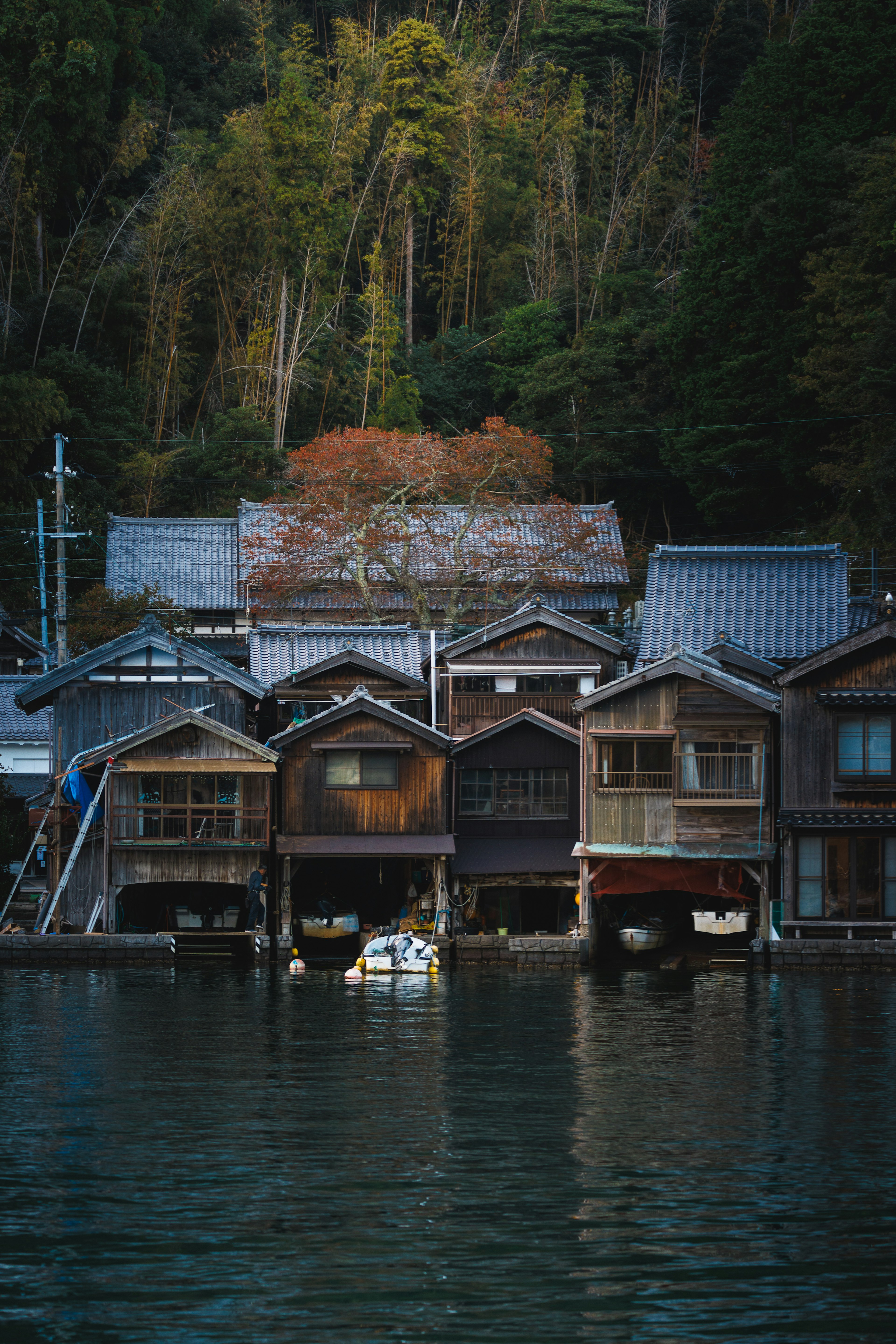 静かな水辺に並ぶ古い木造の家々と緑の背景