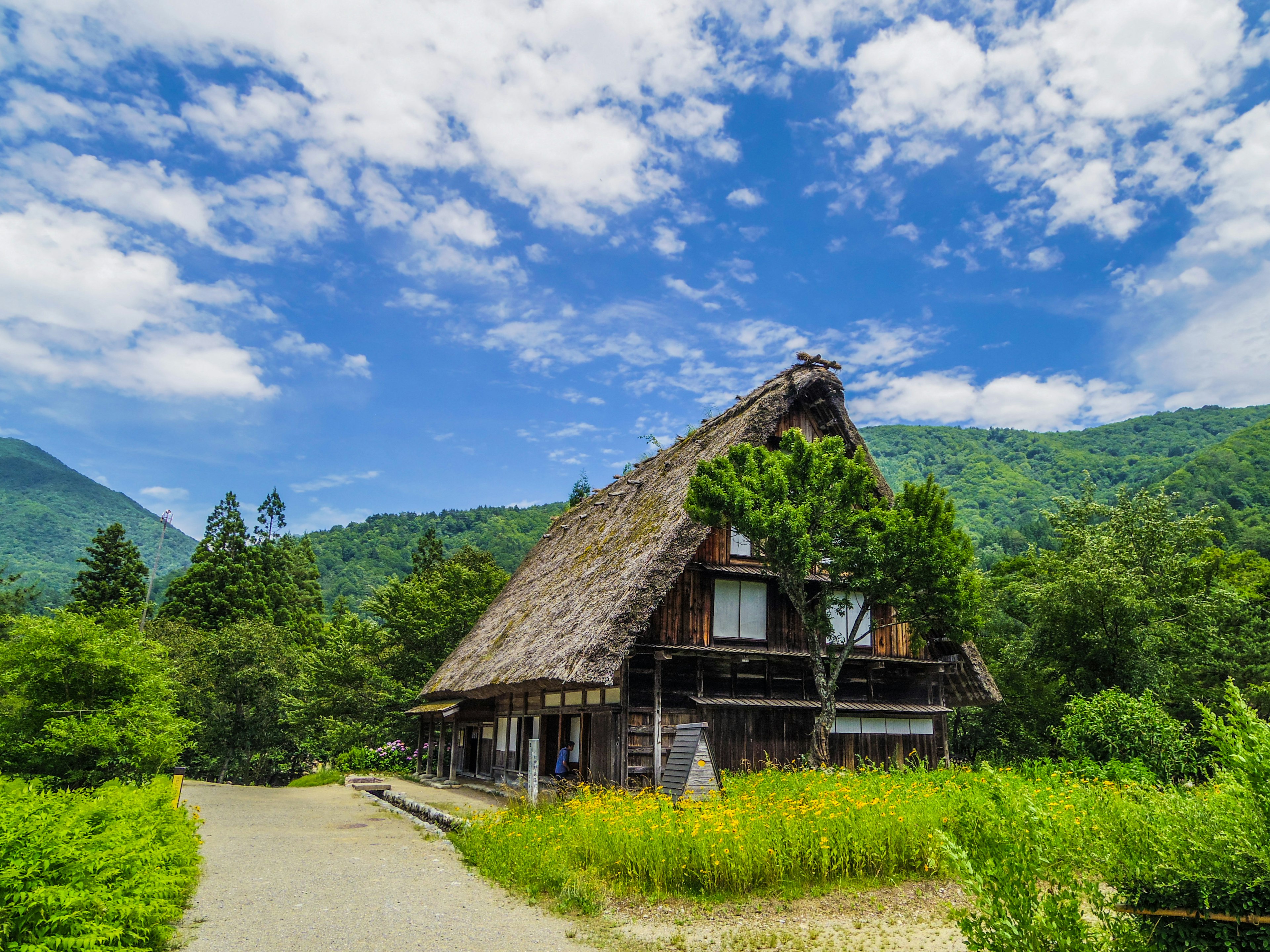 Maison traditionnelle à toit de chaume entourée de la belle nature