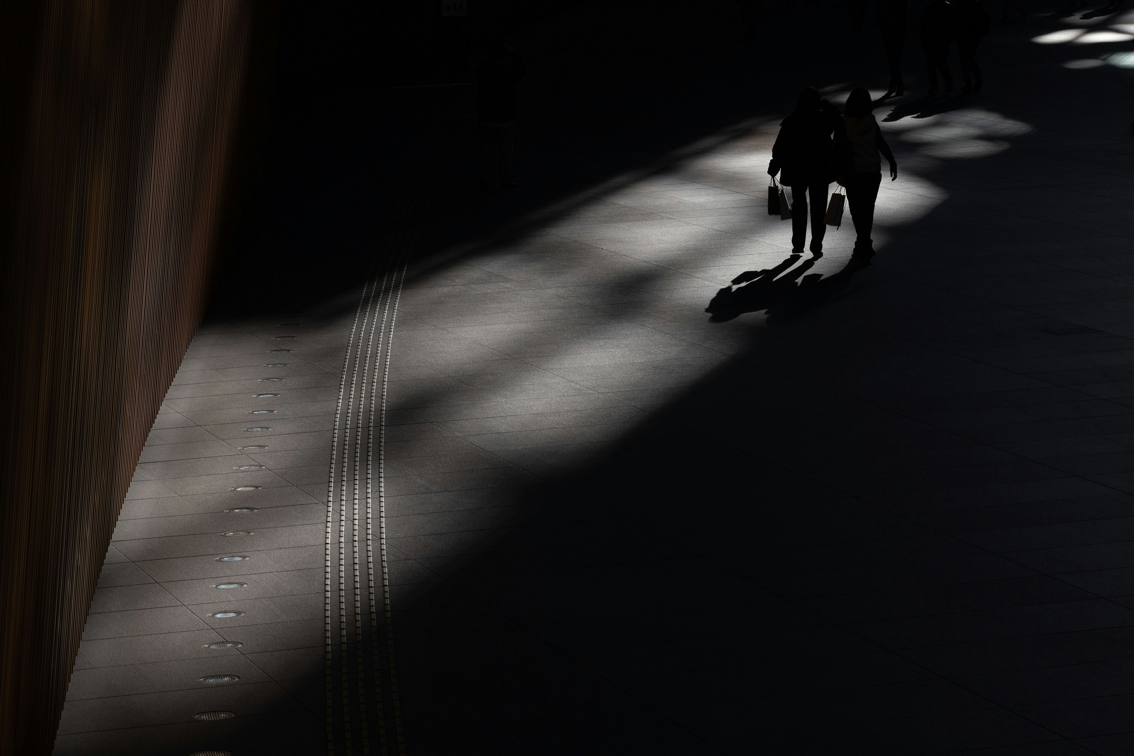 Silueta de una persona caminando con un perro en sombras Luz brillante que entra en un pasaje oscuro