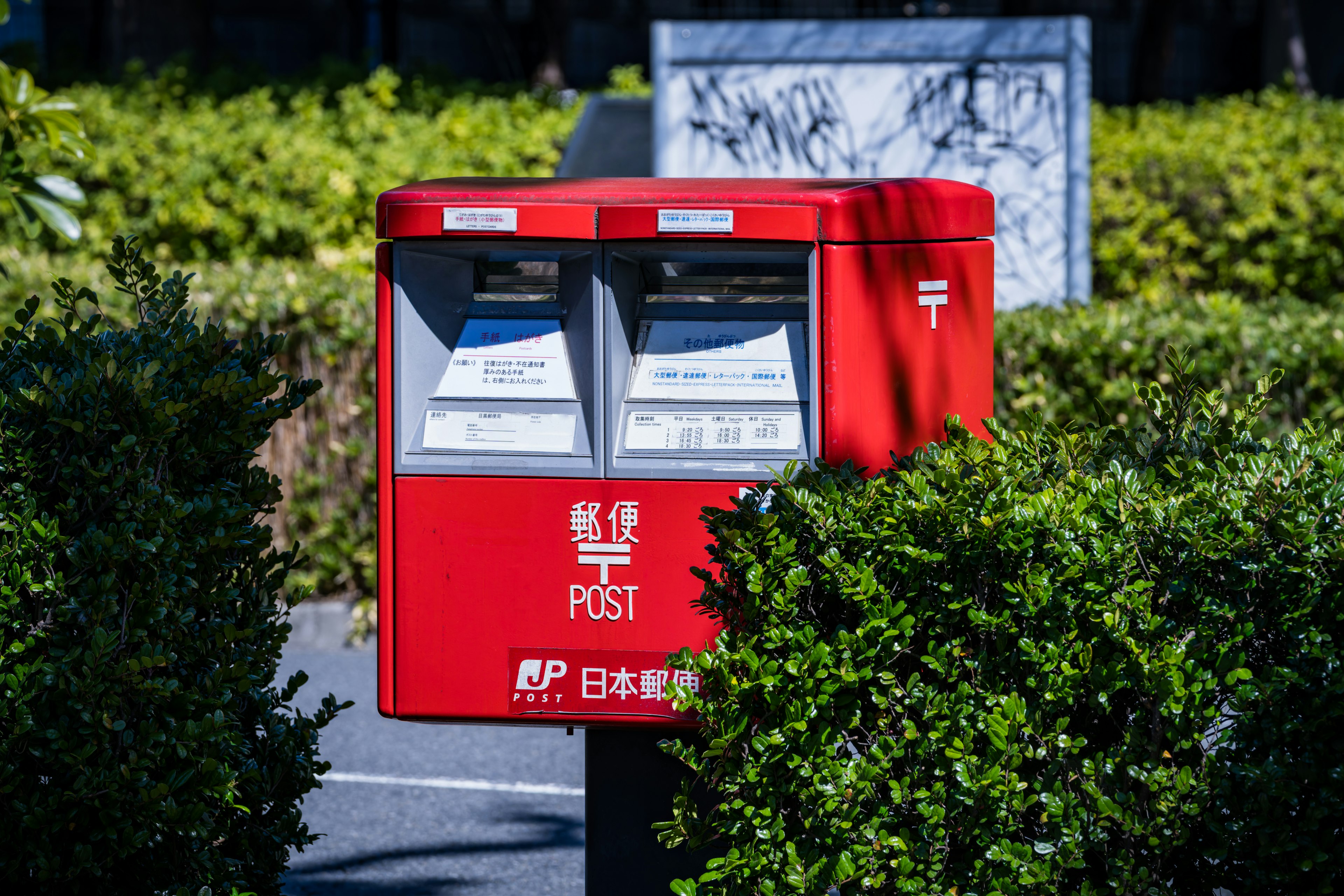 Boîte aux lettres rouge entourée de buissons verts