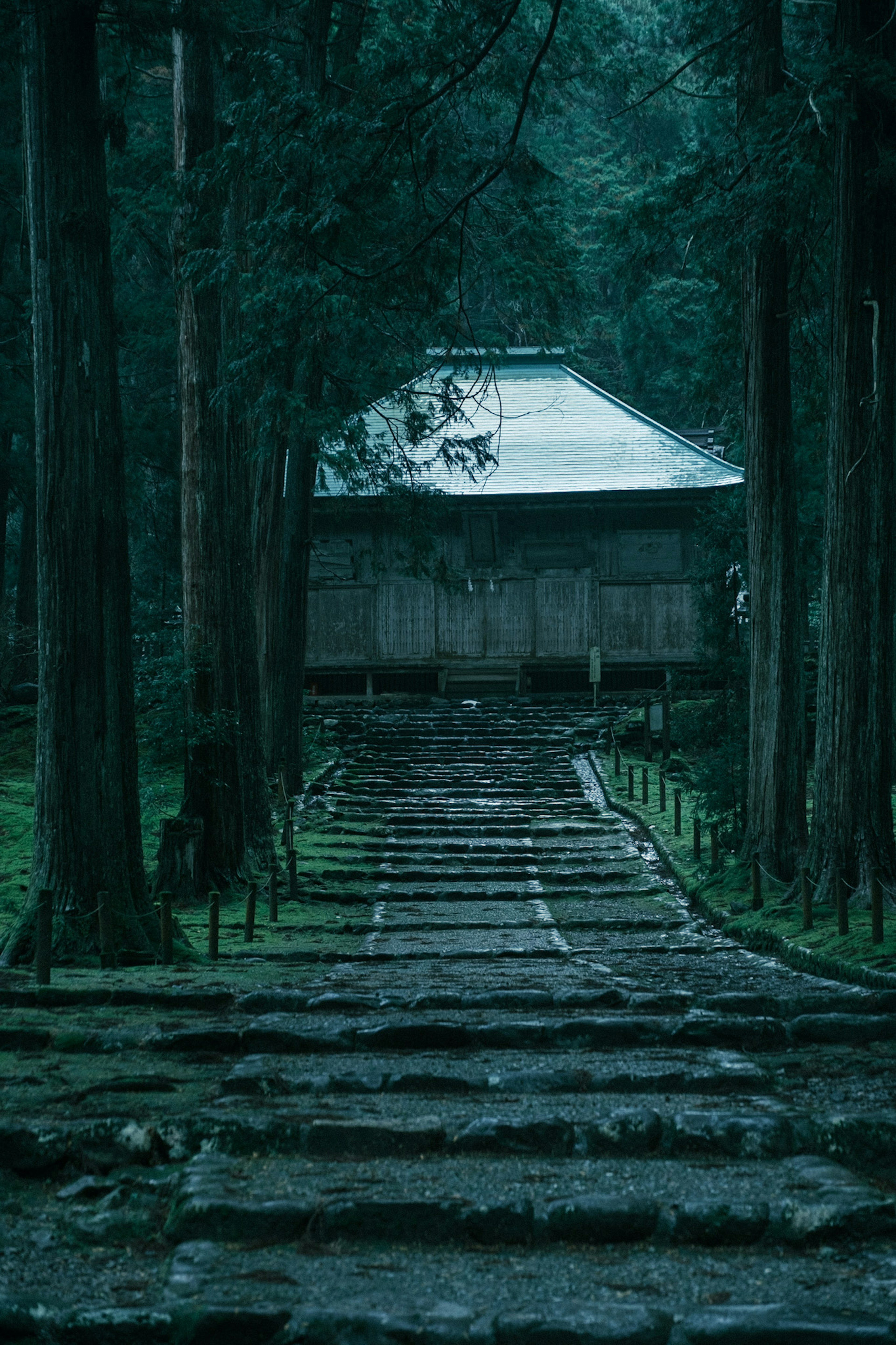 A serene path leading to an old building surrounded by tall trees