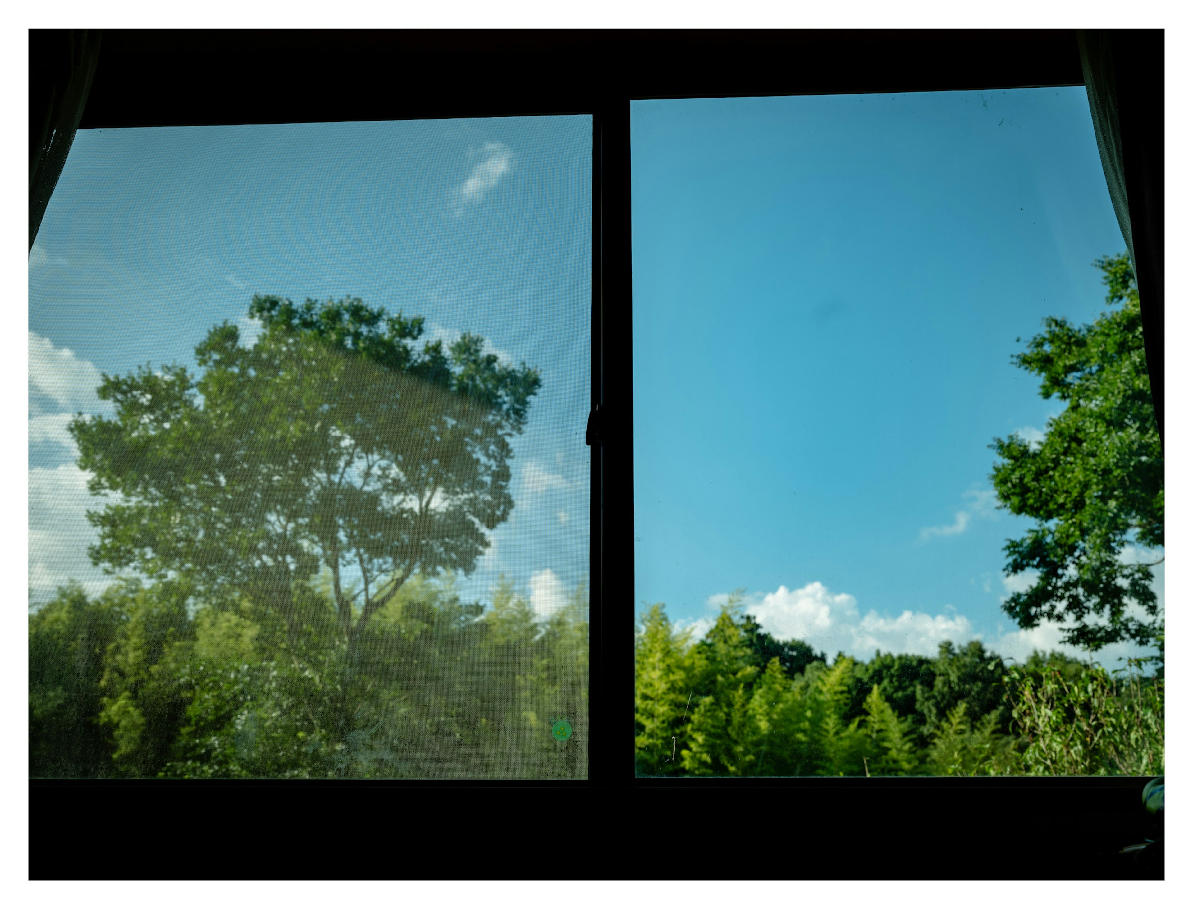 Vue du ciel bleu et des arbres verts à travers une fenêtre