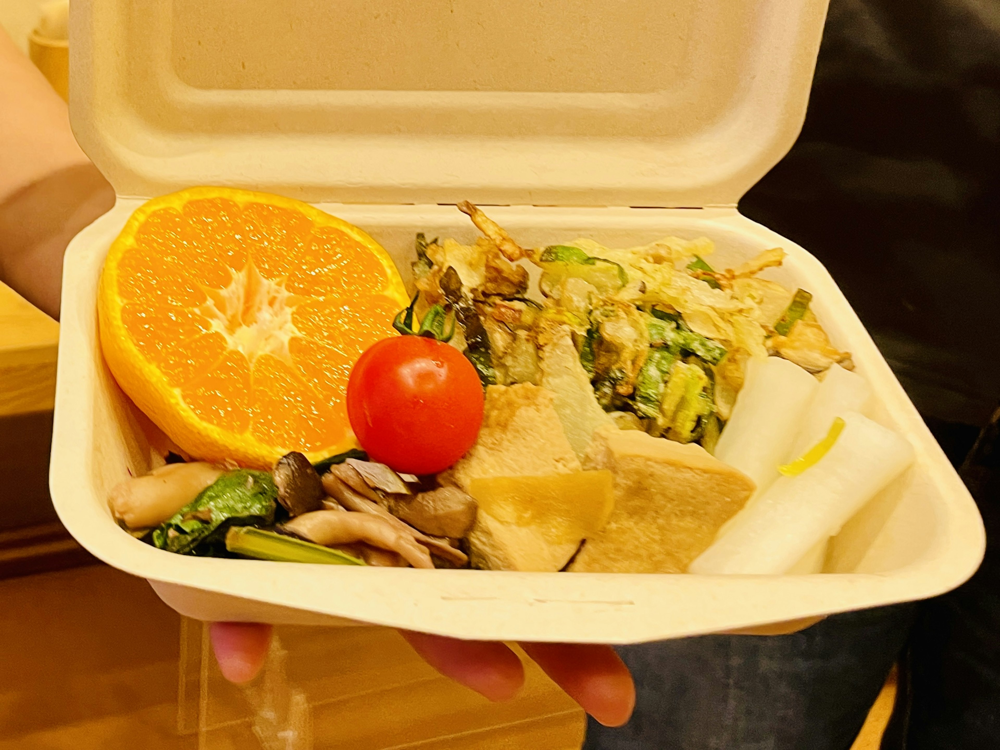 A hand holding a food container with an orange, tomato, vegetables, and tofu