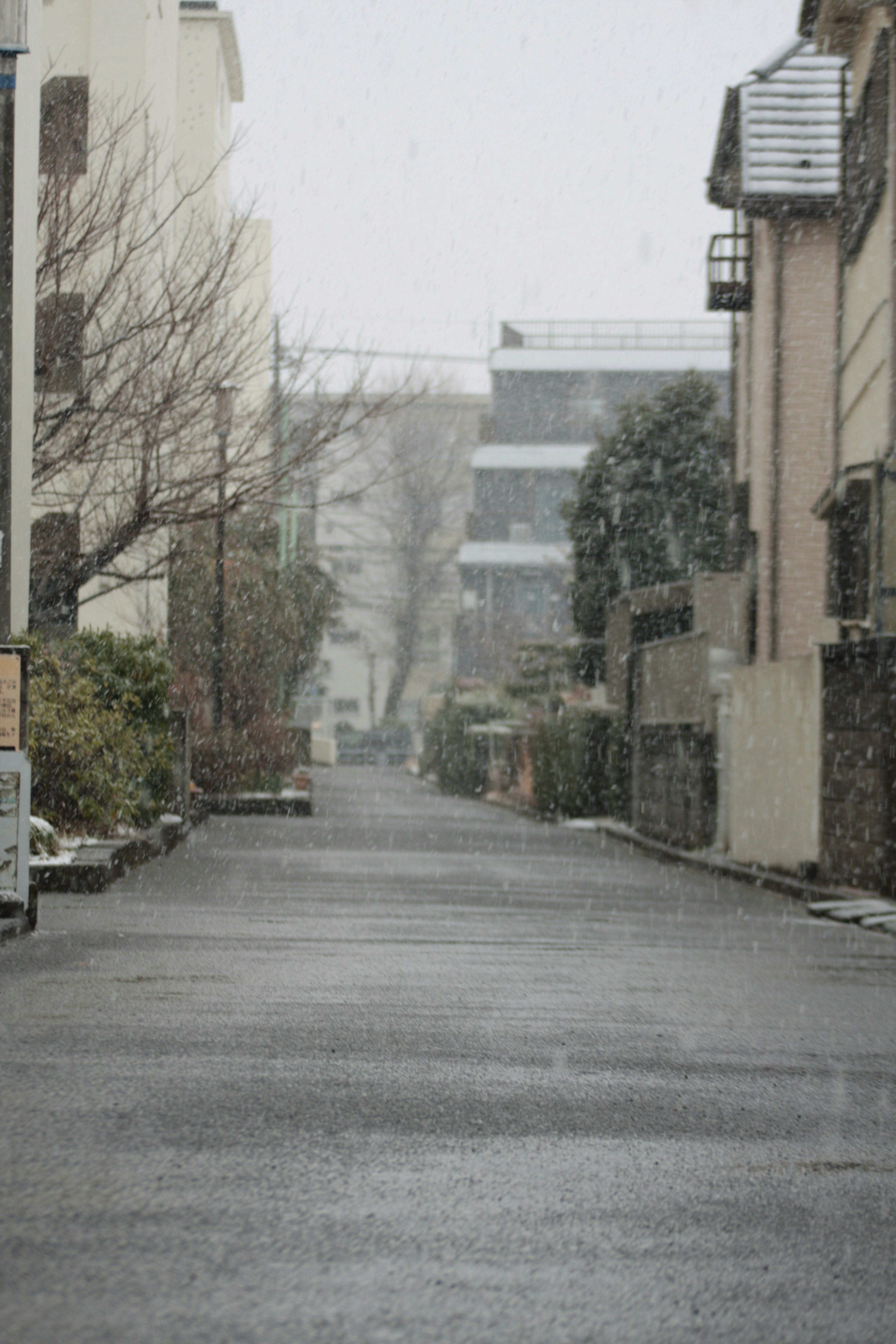 Una tranquilla strada residenziale con neve che cade