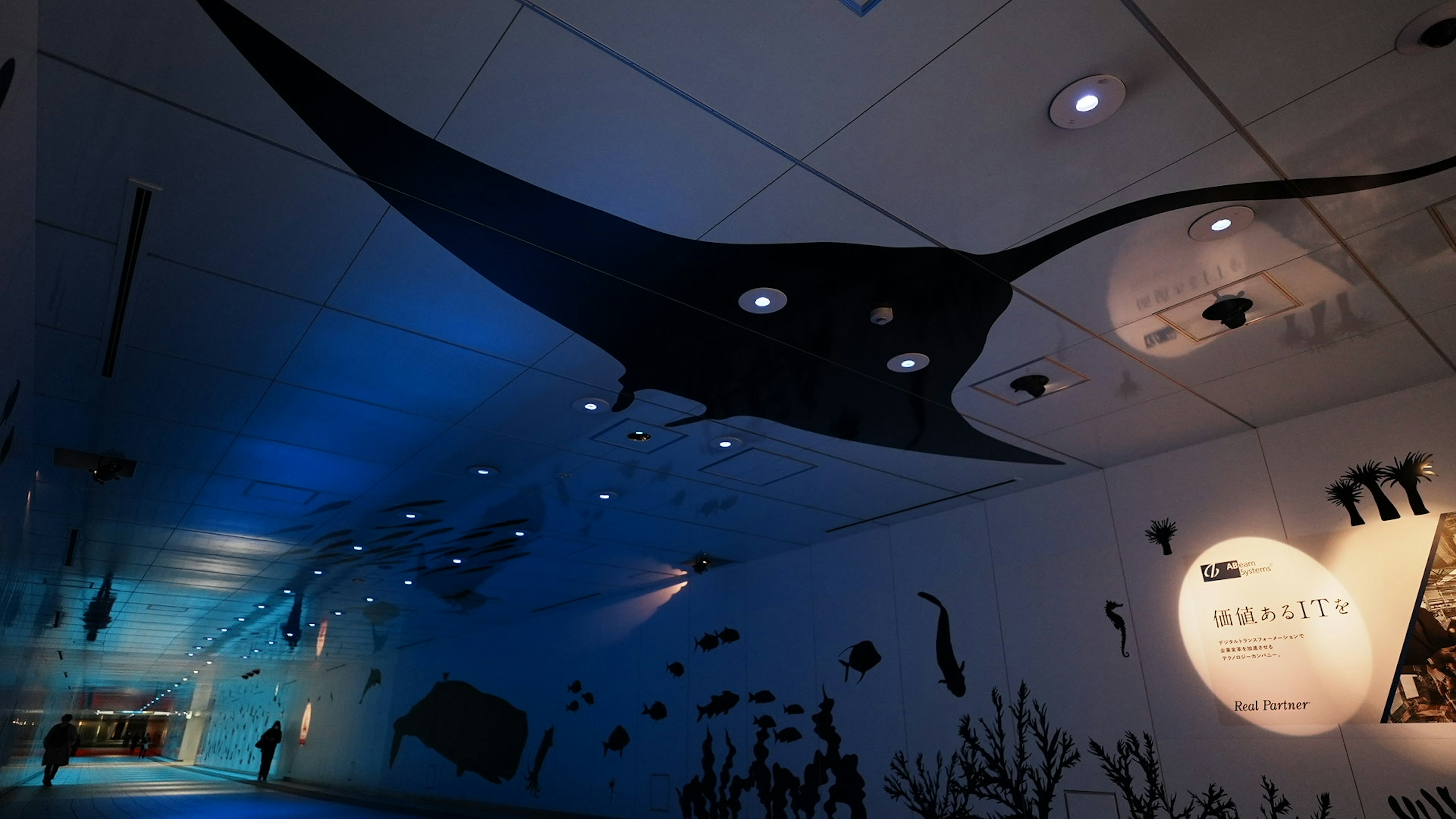 Un grande modello di manta ray sospeso sotto un'illuminazione blu soffusa con silhouette di vita marina sul muro