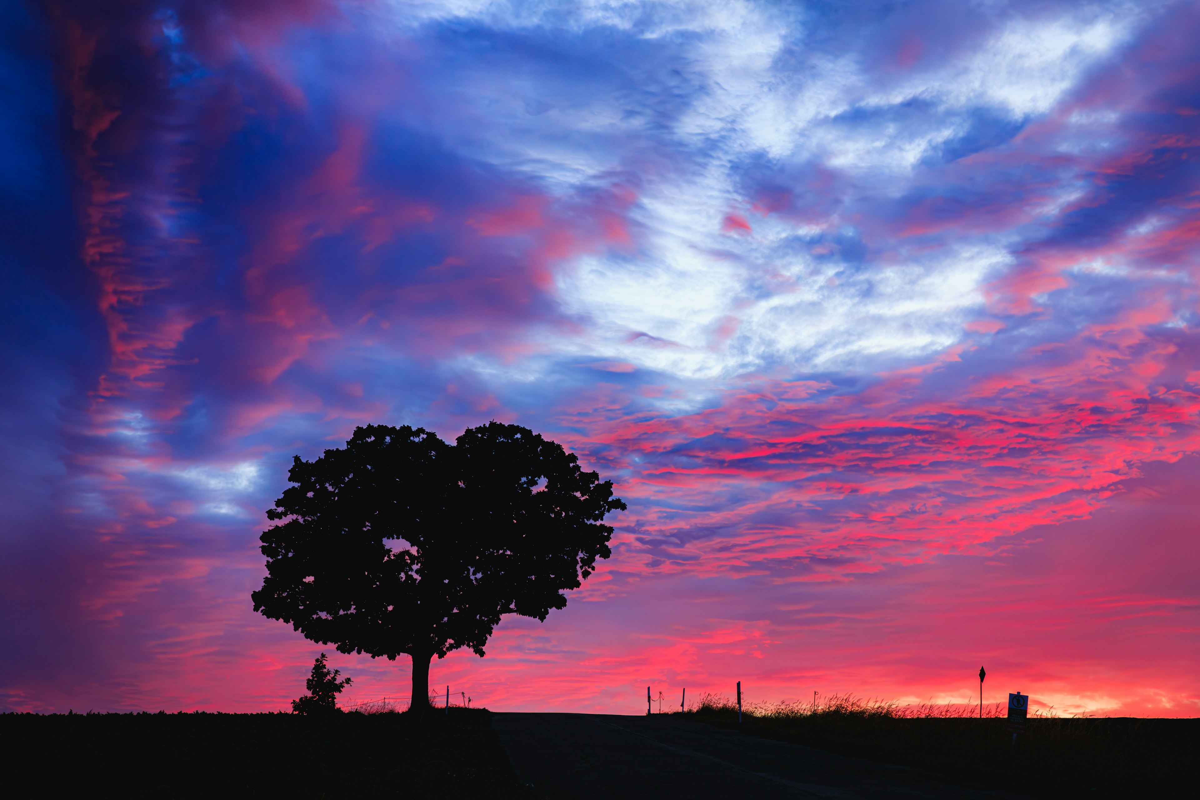 Silhouette di un albero contro un cielo di tramonto vibrante