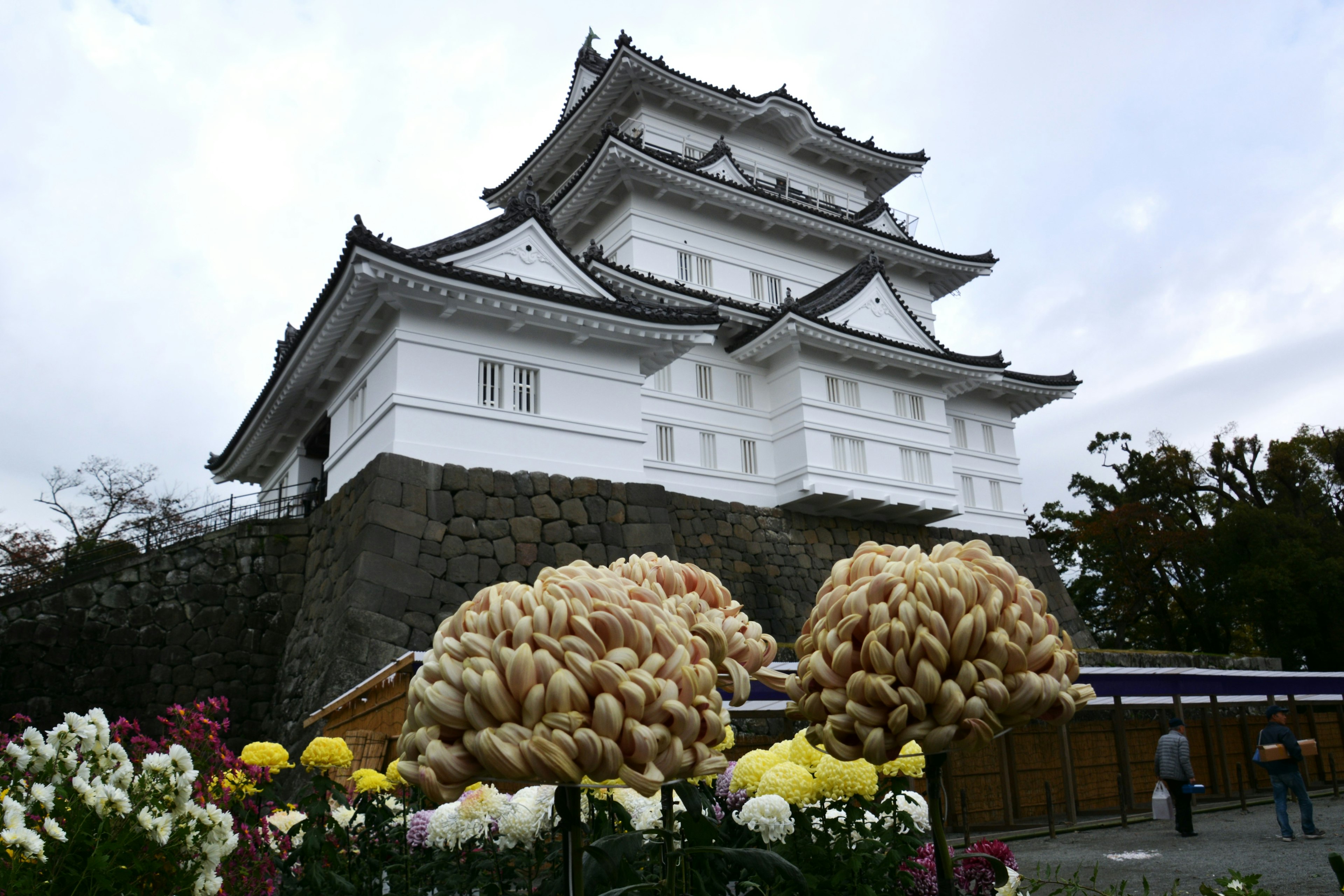 白い城と花の前景がある風景