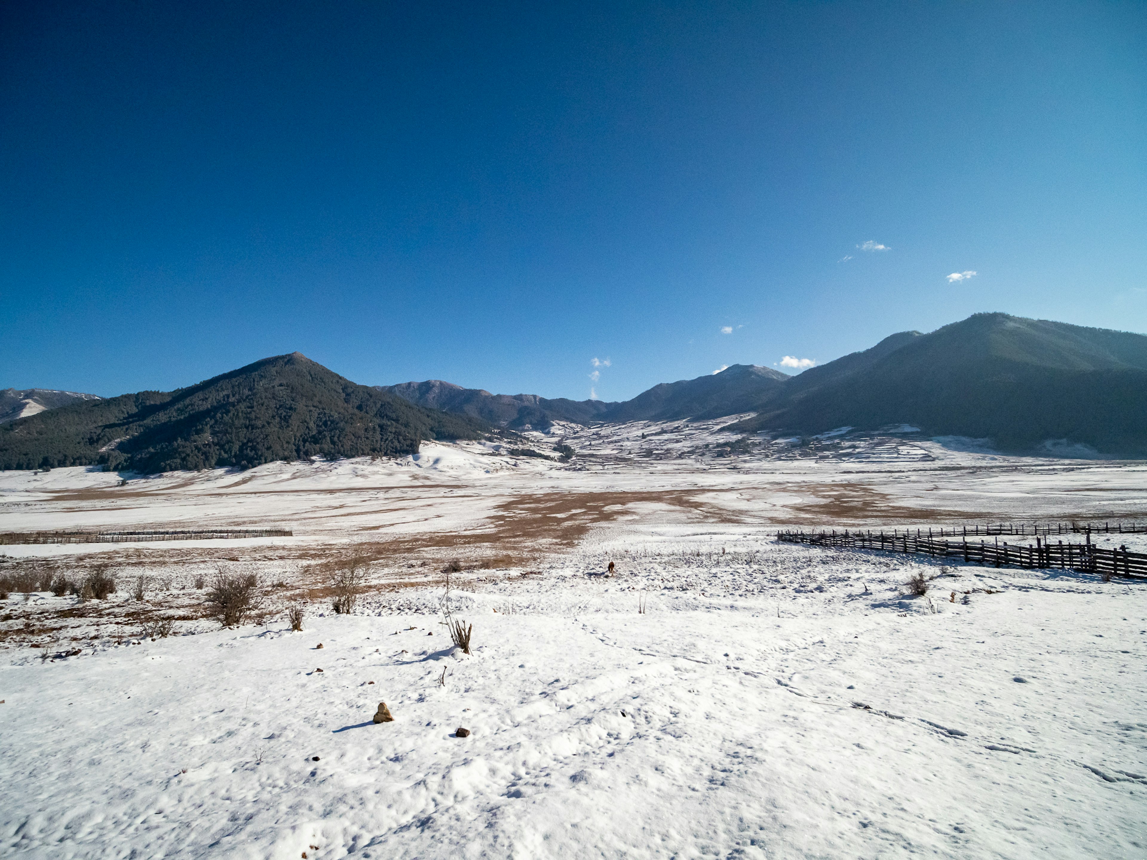 雪に覆われた広大な風景と山々が広がる青空