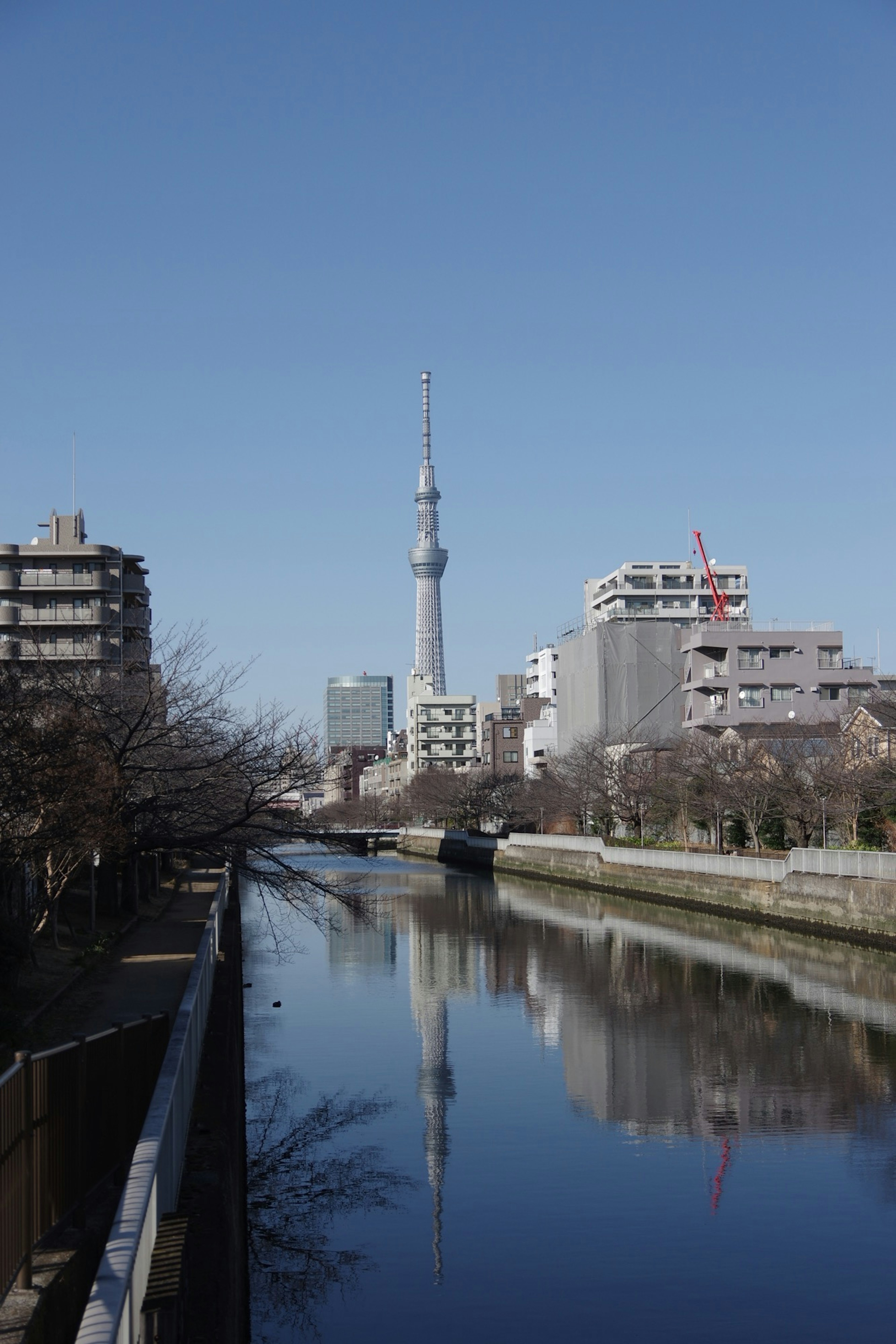 View of Tokyo Skytree and river under a clear blue sky