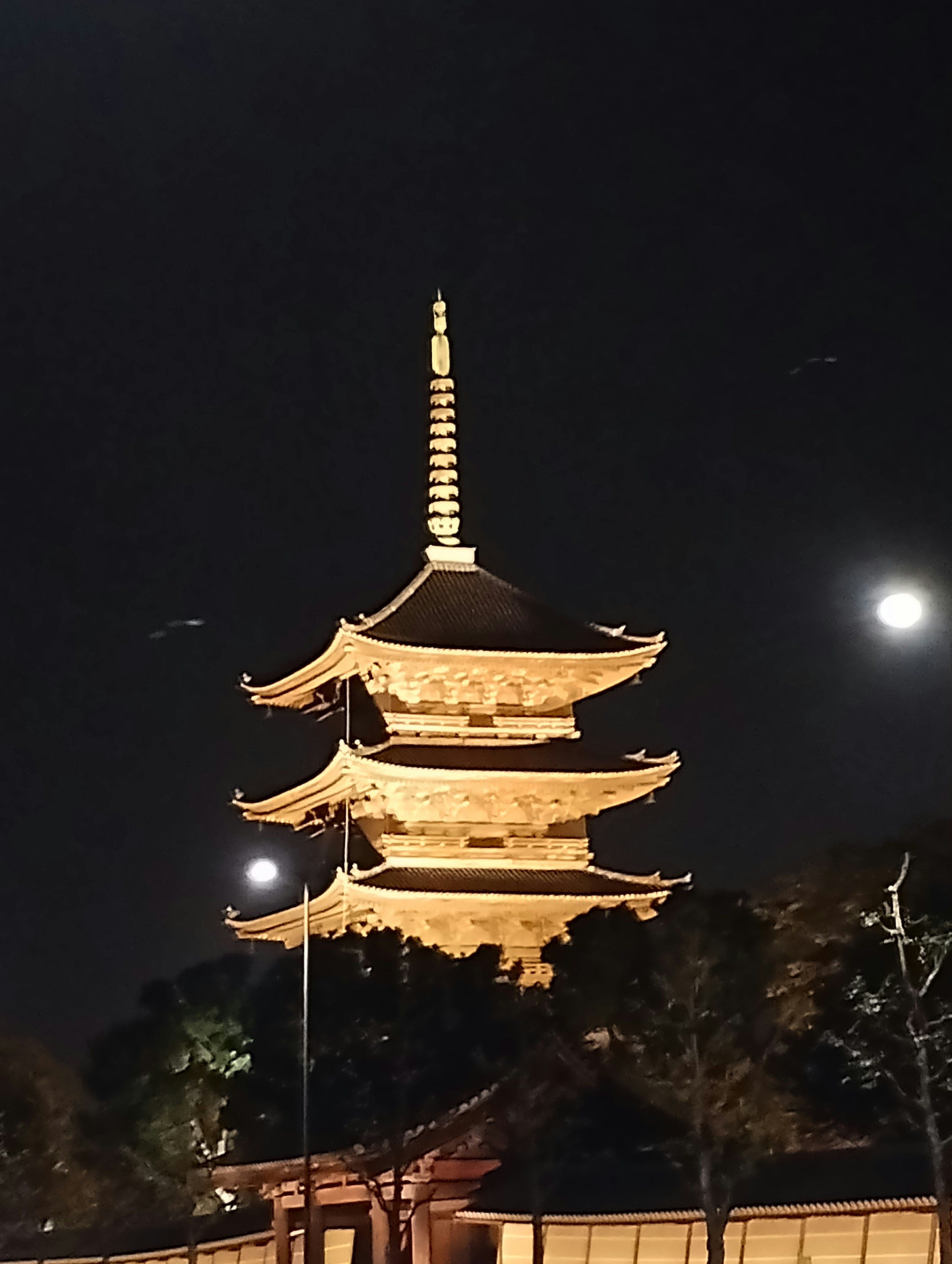 Hermosa pagoda iluminada por la noche contra el cielo