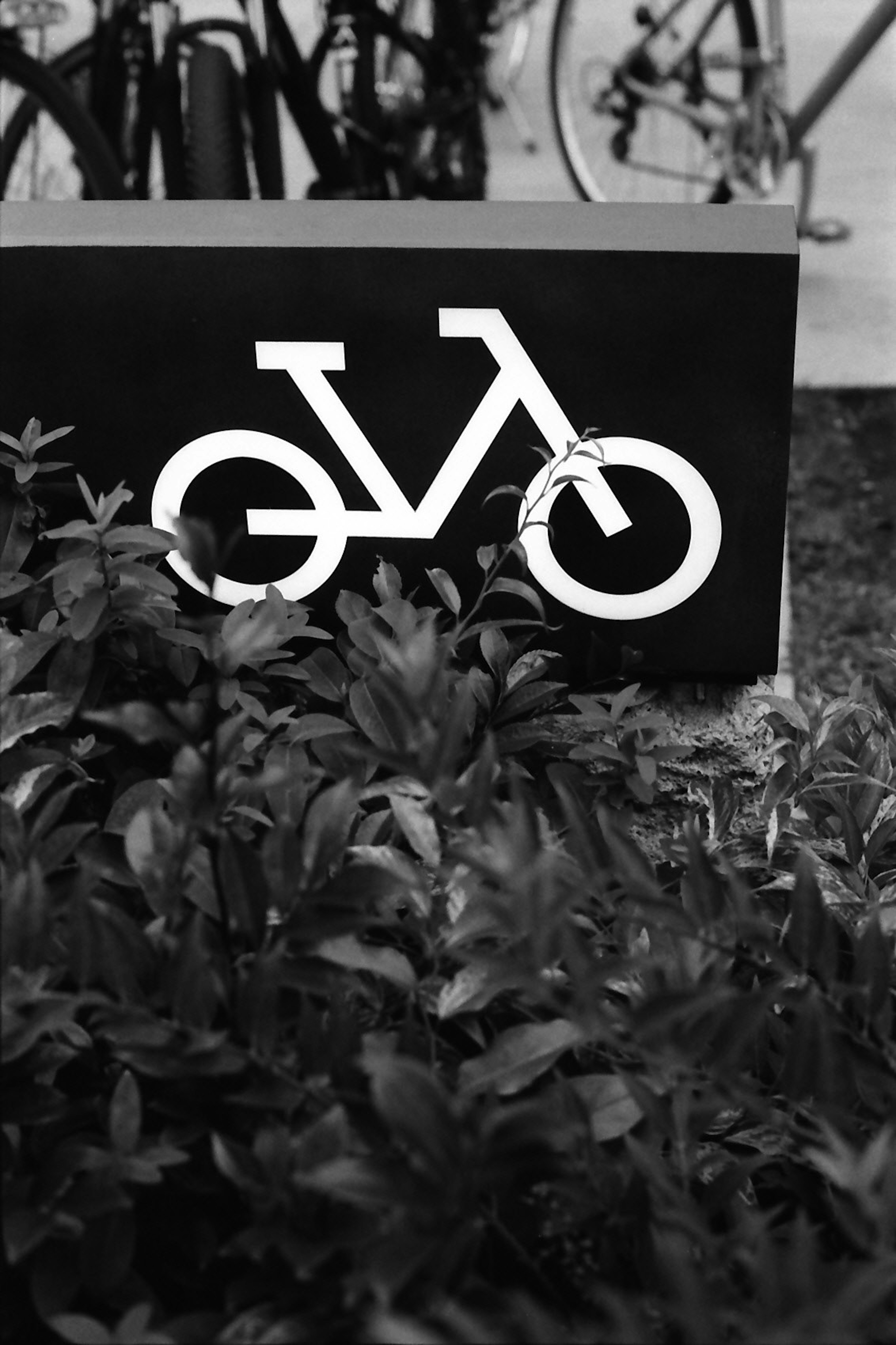 Un letrero negro con un símbolo de bicicleta frente a plantas verdes