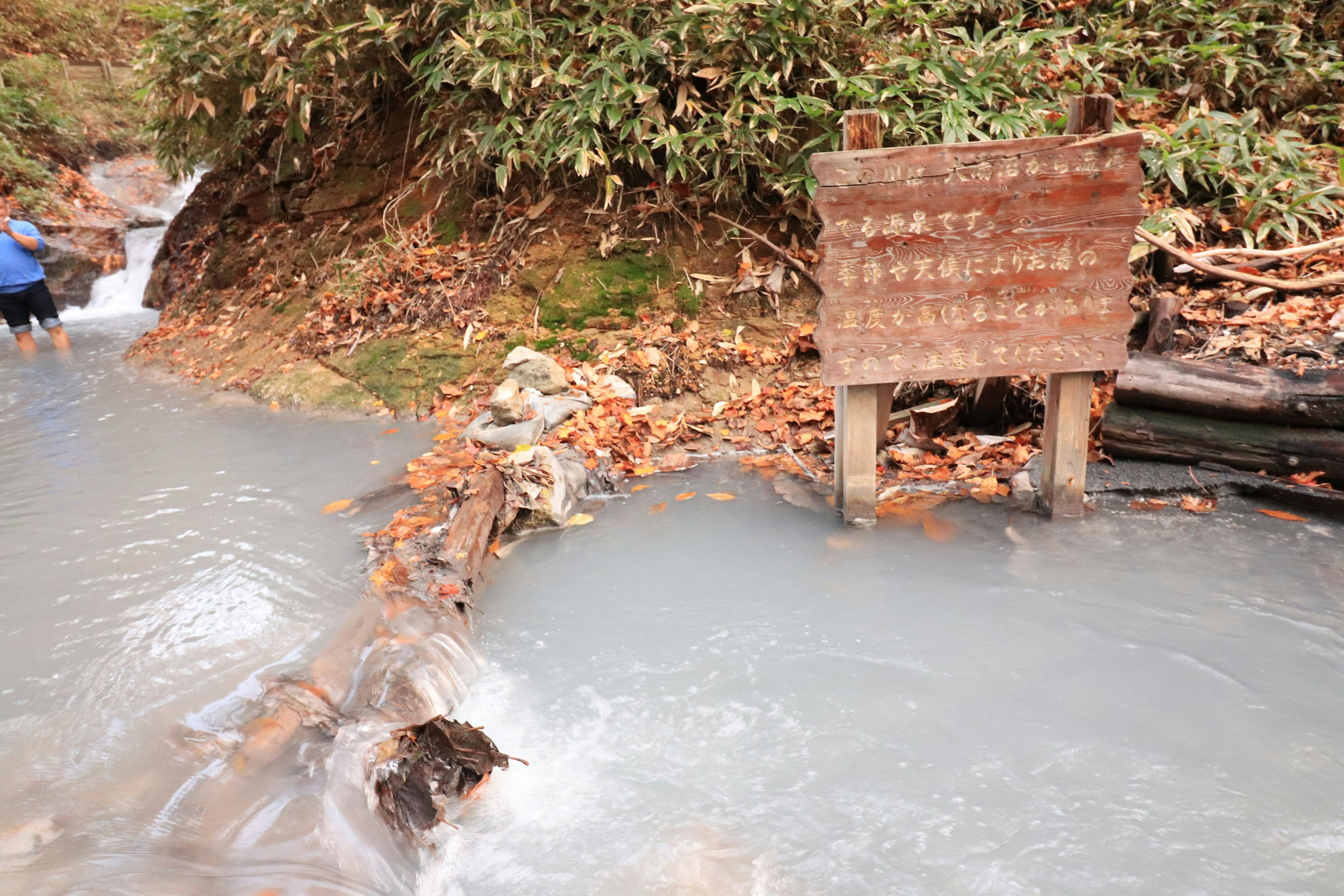 A scenic view featuring a stream and a wooden sign