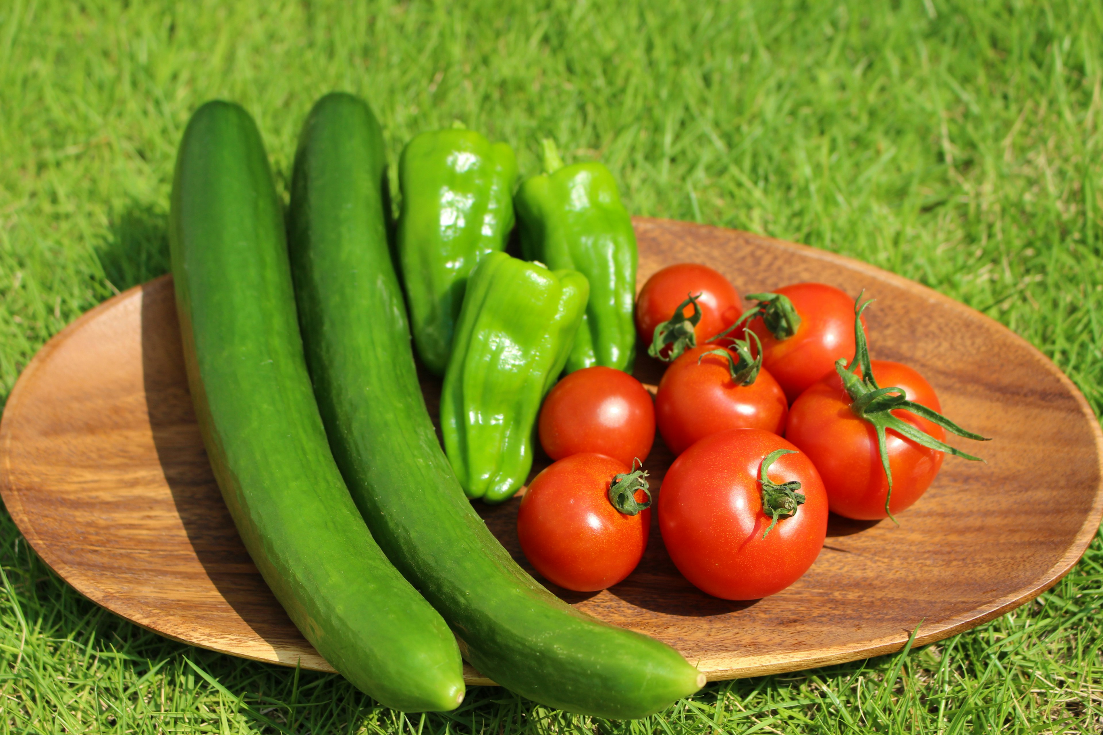 Green cucumbers, red tomatoes, and green bell peppers arranged on a wooden plate with green grass