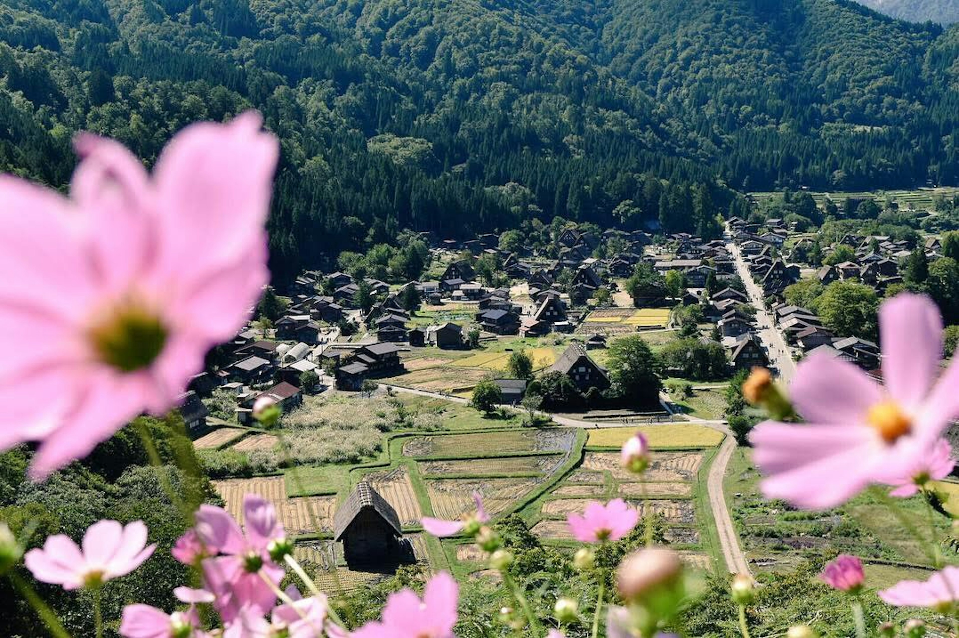 Scenic village surrounded by mountains with blooming flowers in the foreground