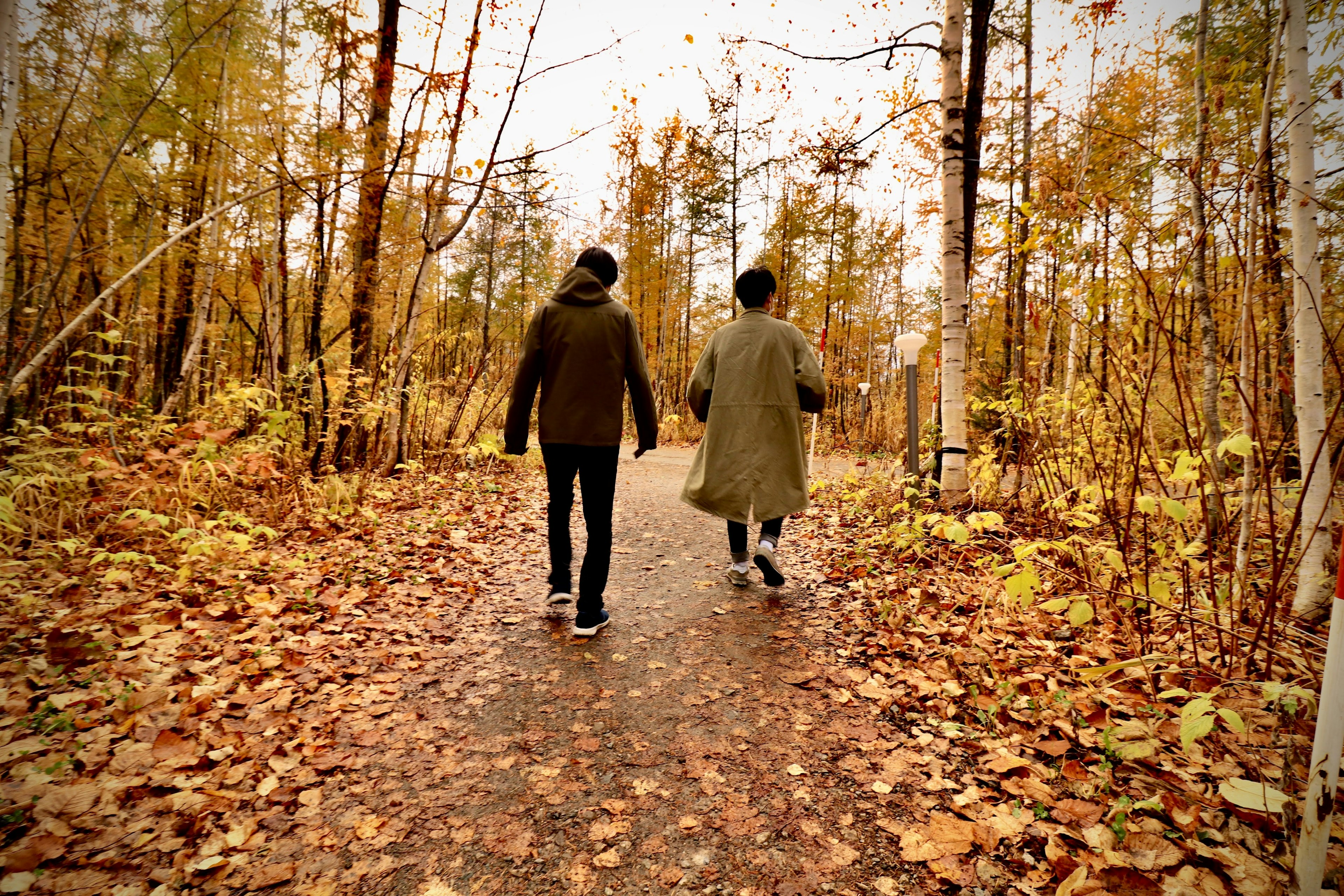 Two people walking on a path in an autumn forest with fallen leaves