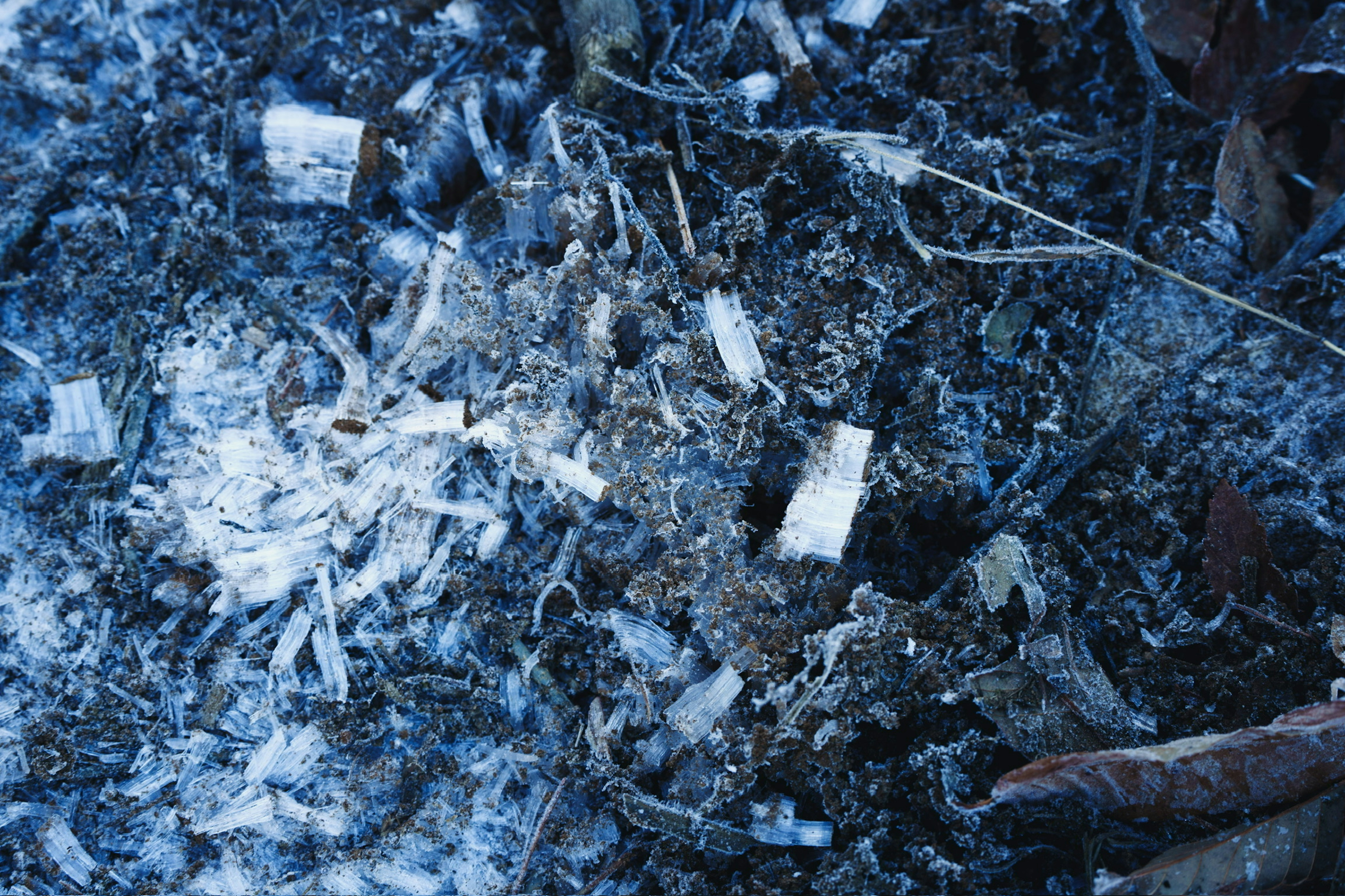 Primer plano de suelo mezclado con astillas de madera finas y tierra sobre fondo azul