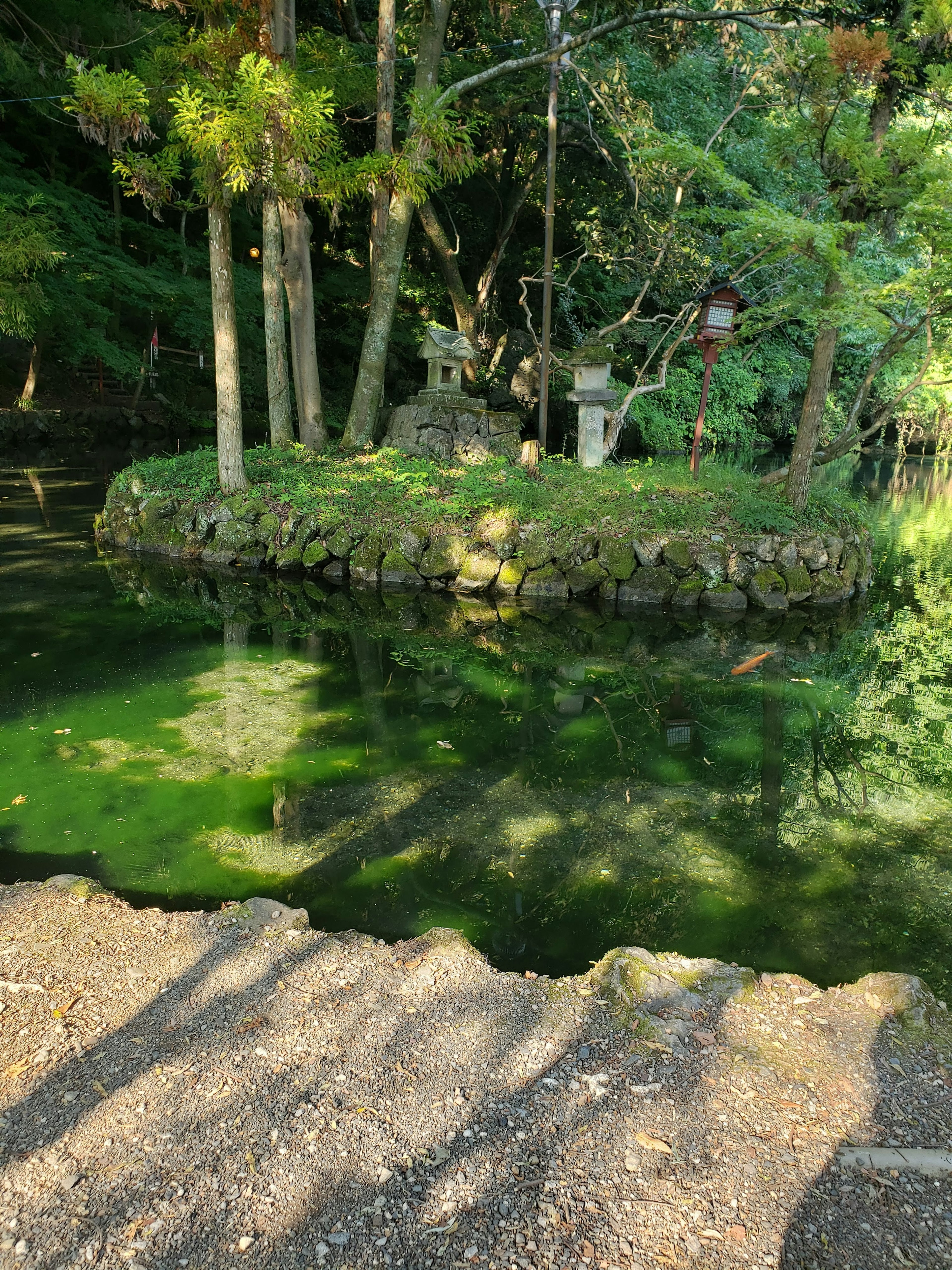 Ruhiger Teich mit moosbedeckter Insel und umgebenden Bäumen