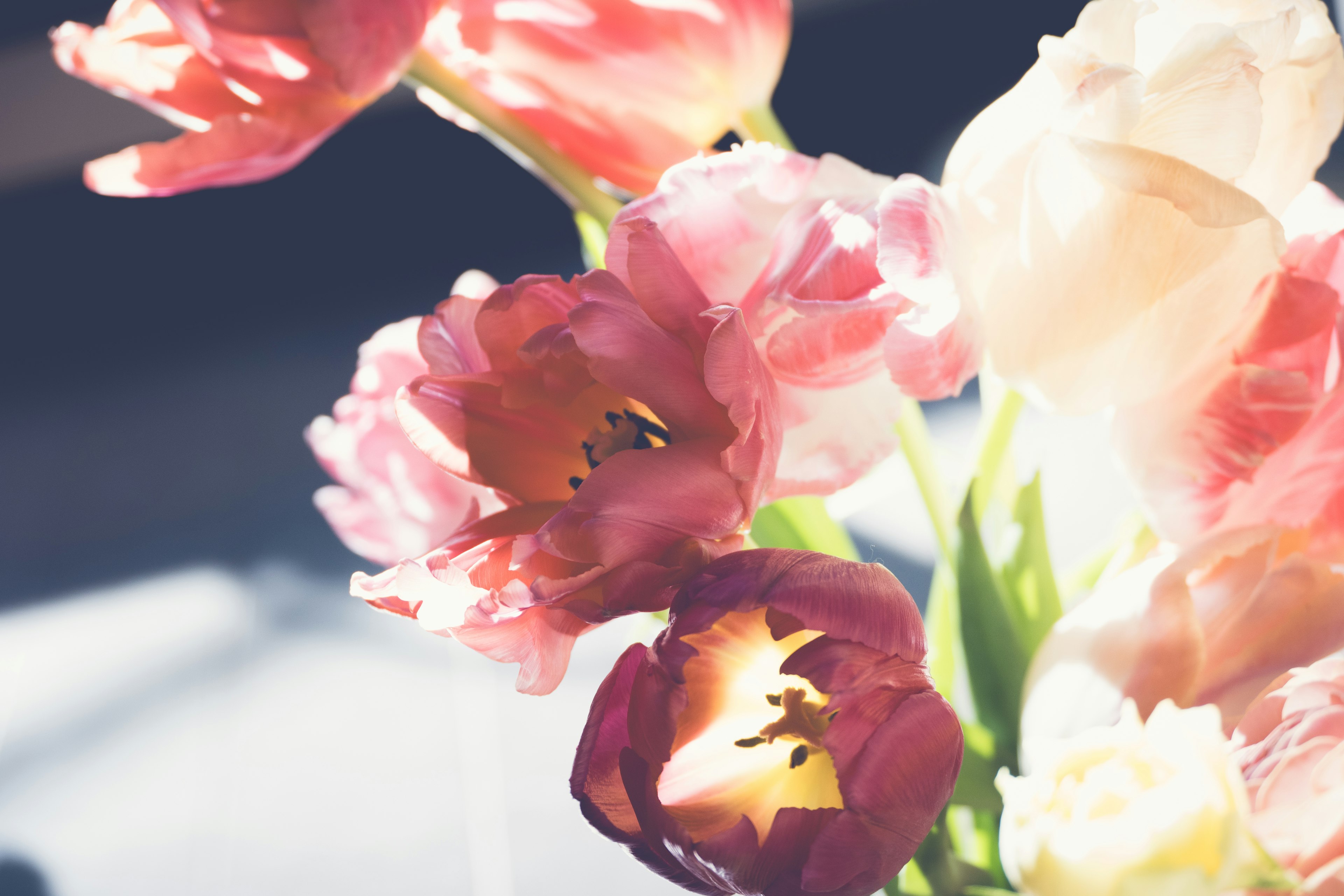 Close-up of a vase filled with colorful tulips