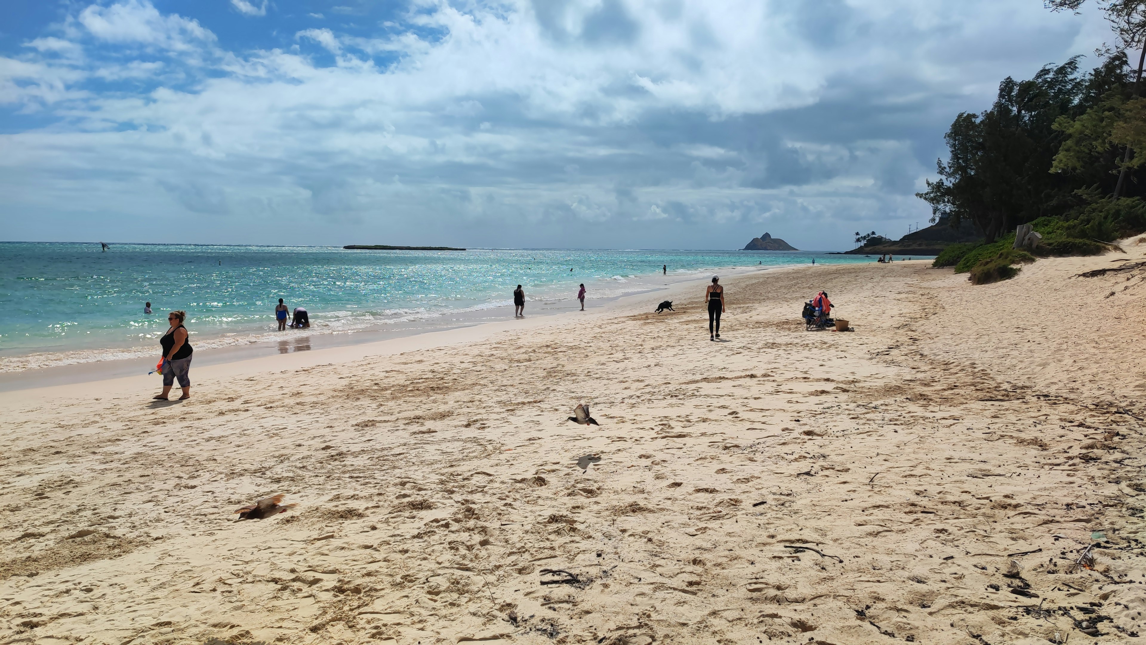 People walking on a beach with blue water and white sand