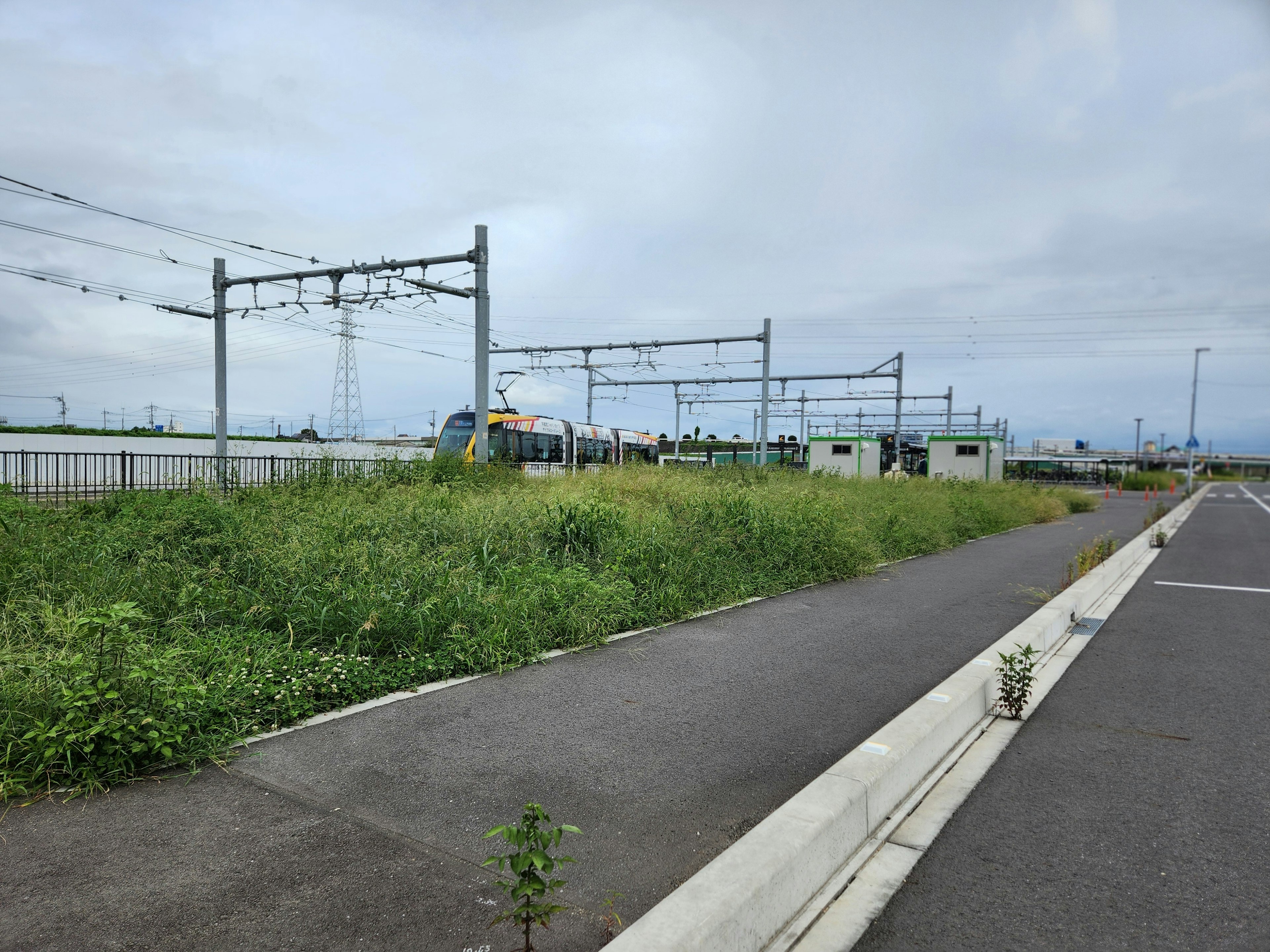 草が生い茂る鉄道線路と舗装された道路の風景