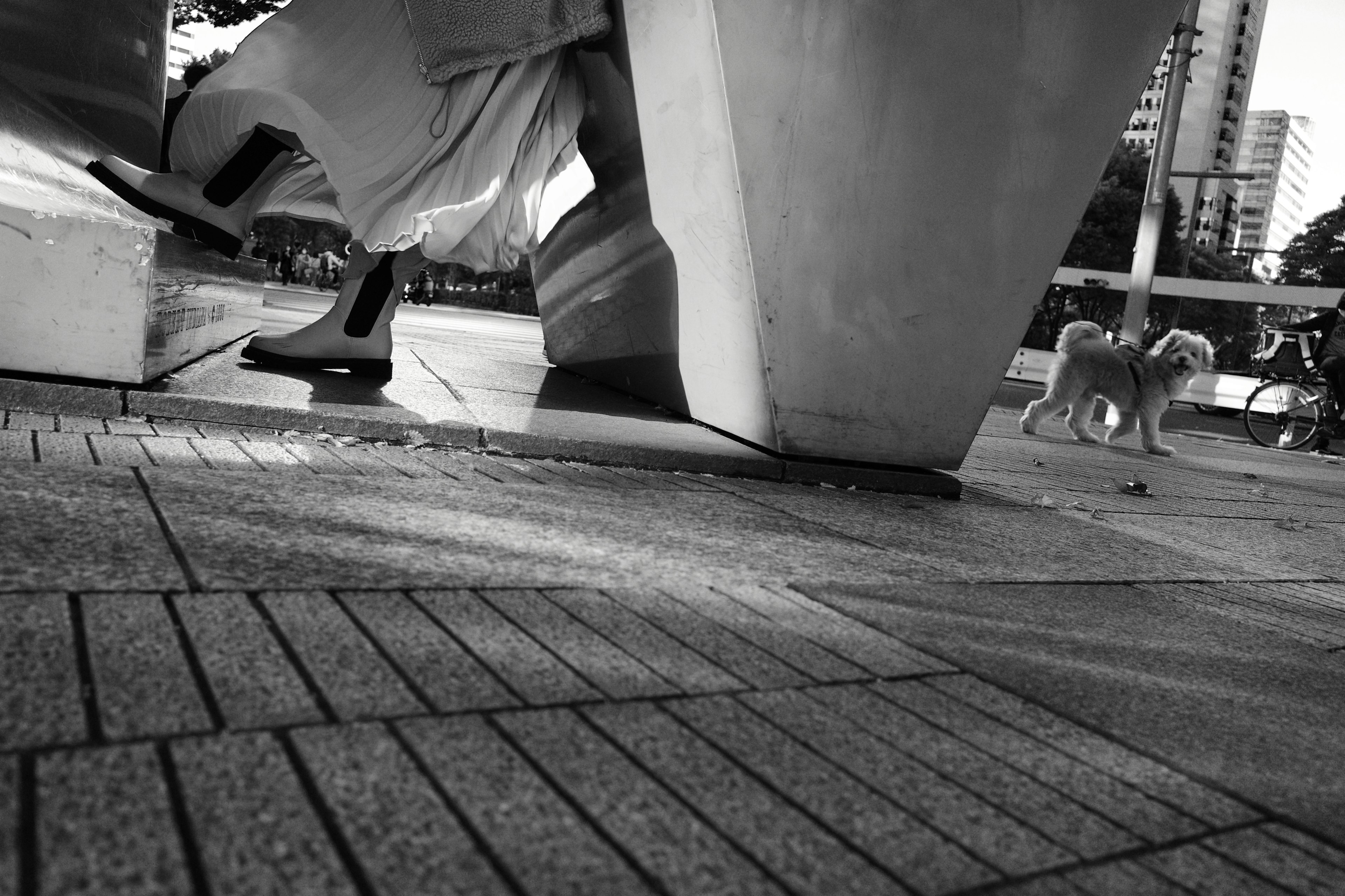 Black and white park scene featuring feet on stairs and a dog in the background