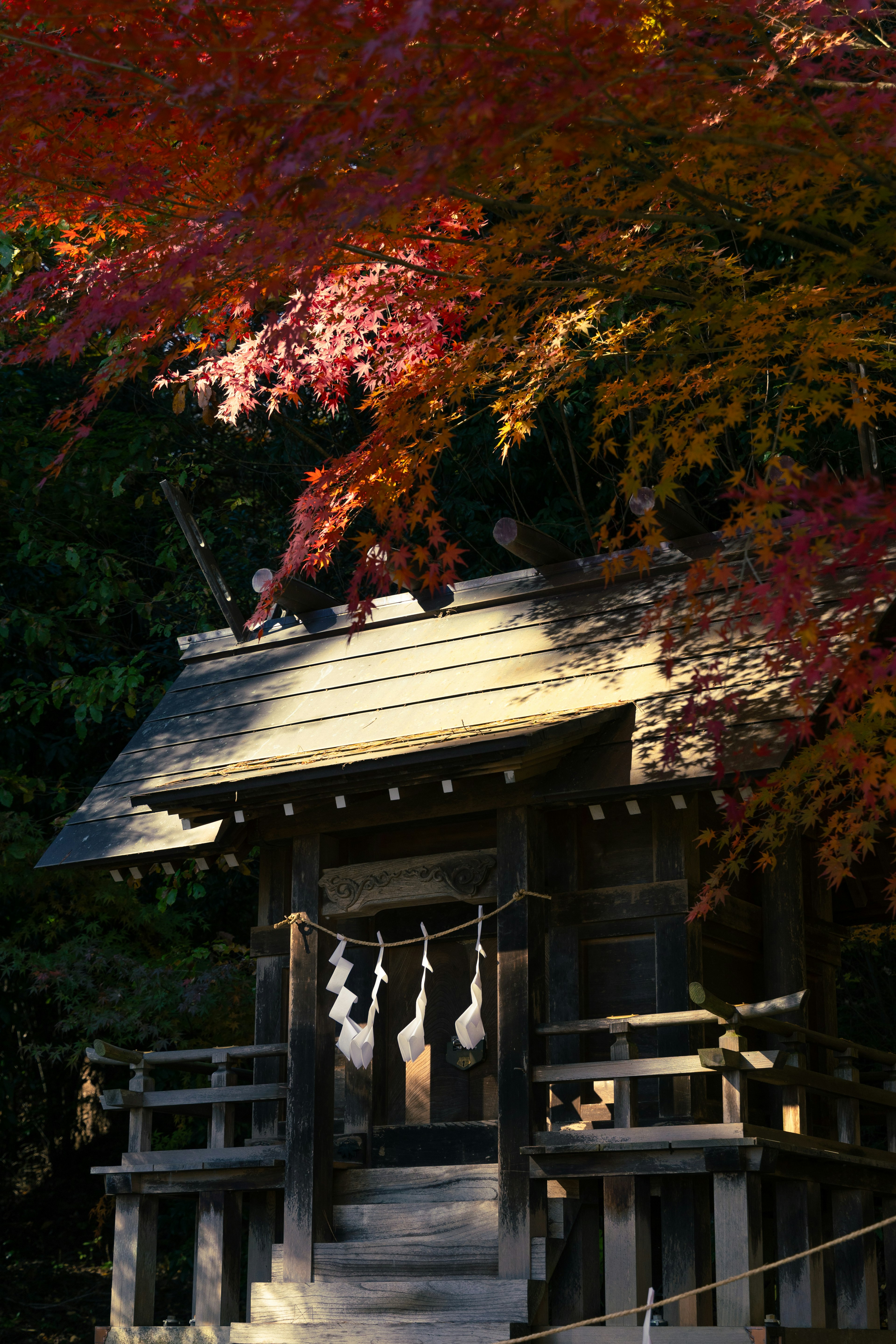 被秋天的叶子环绕的小神社建筑