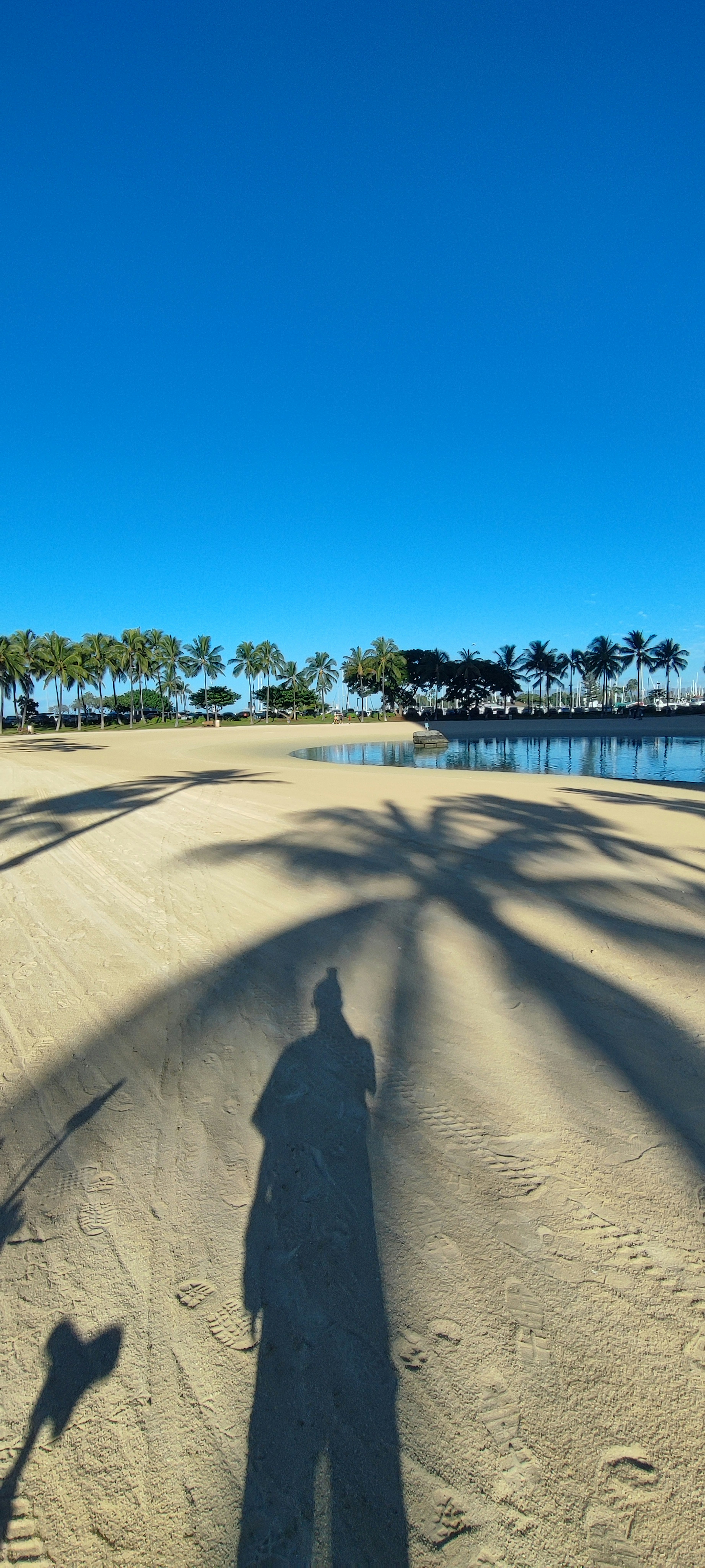 Pemandangan pantai dengan bayangan di bawah langit biru cerah dan pohon kelapa